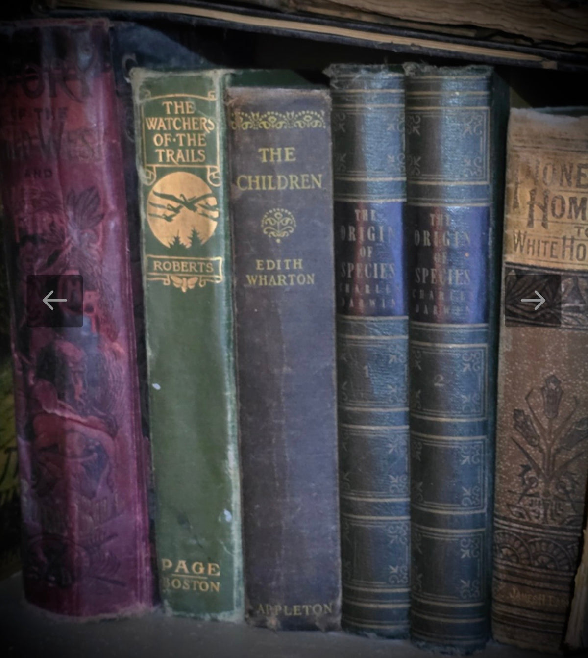 Books