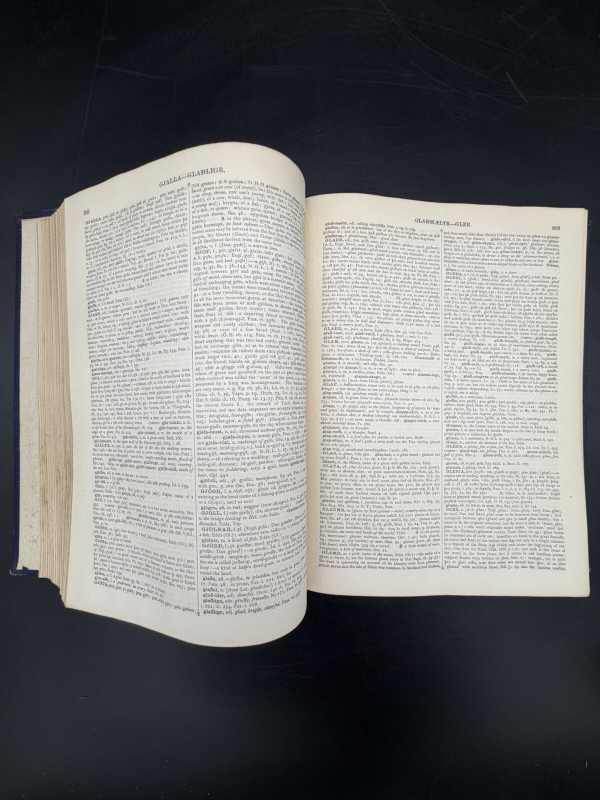 Cleasby & Vigfusson ICELANDIC-ENGLISH DICTIONARY - 1874 1st edn w/ 1876 appendix