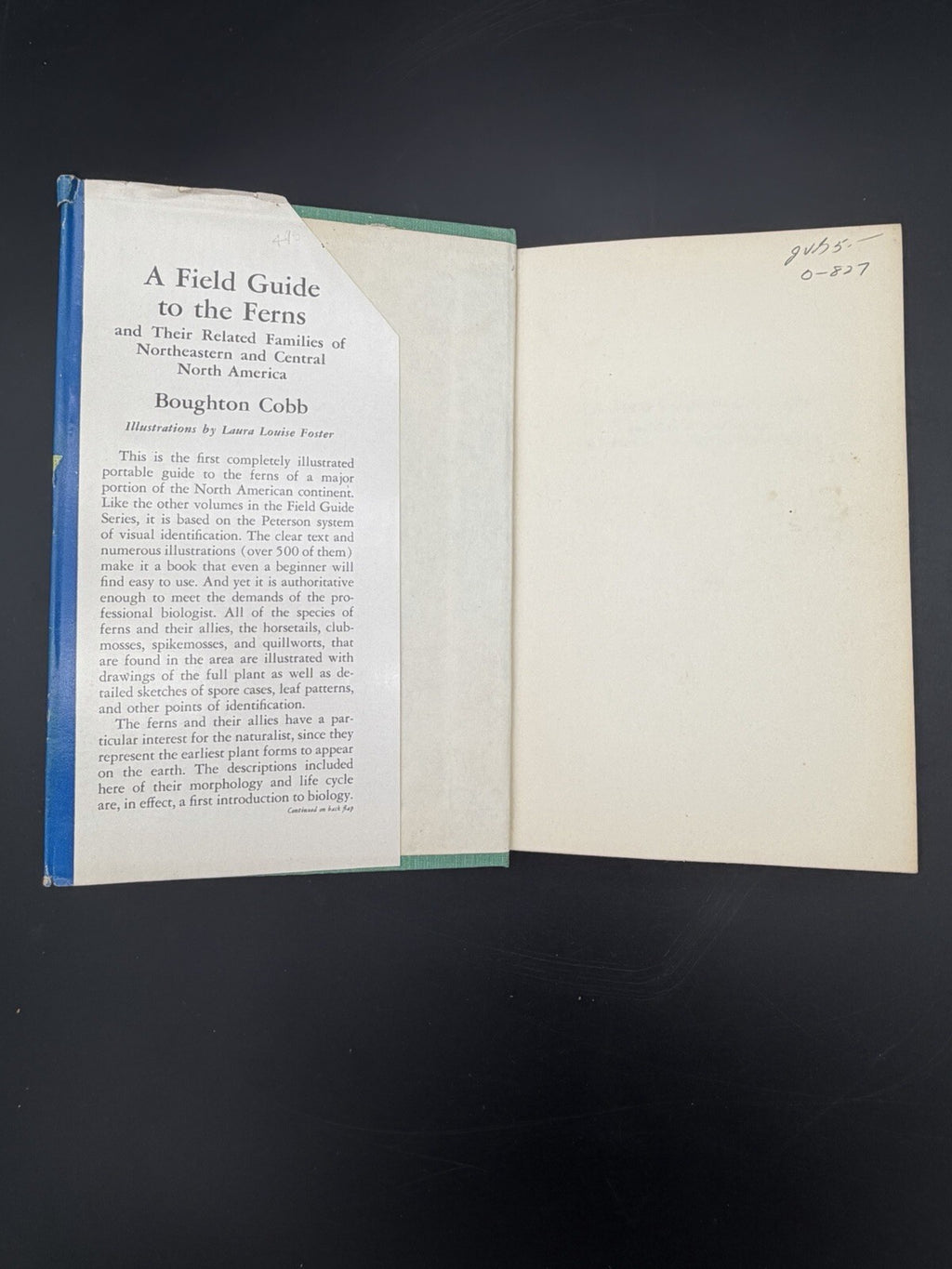 A Field Guide to the Ferns Boughton Cobb Peterson Field Guide Series