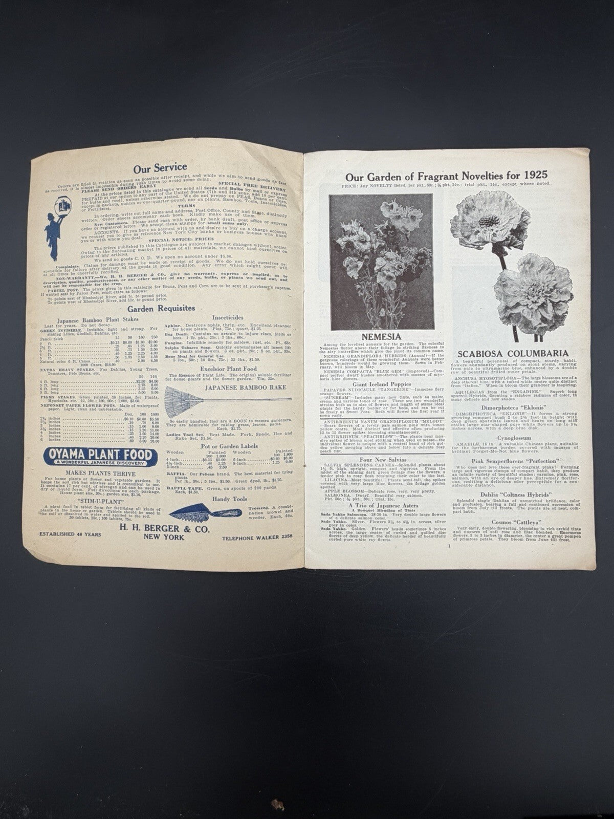 1925 H.H. Berger & Co Spring Garden Seed and Bulb Catalogue New York Rare