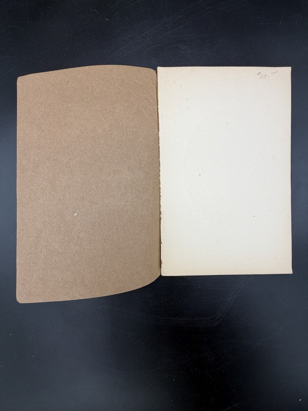 1903 John Michael Maisch An Ideal Pharmacist M I Wilbert Pamphlet Offprint Bio