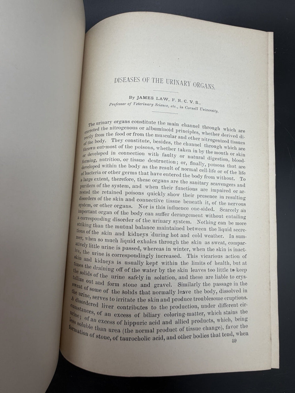 US Department of Agriculture Diseases of The Horse 1890 illustrated