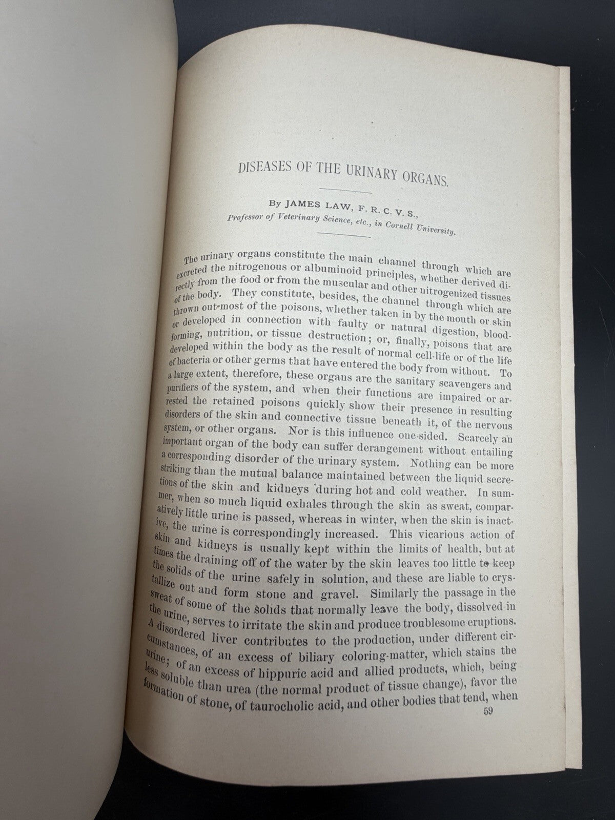 US Department of Agriculture Diseases of The Horse 1890 illustrated