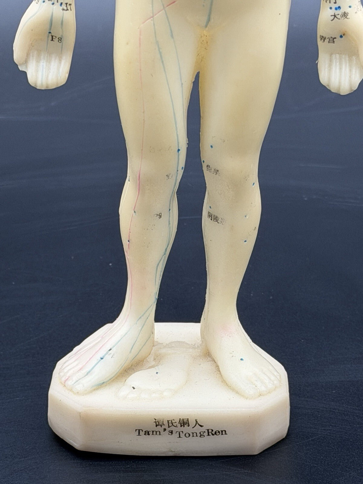 Vintage Tam's Tong Ren Acupuncture Model Human Figure 10 Inch TCM Reference