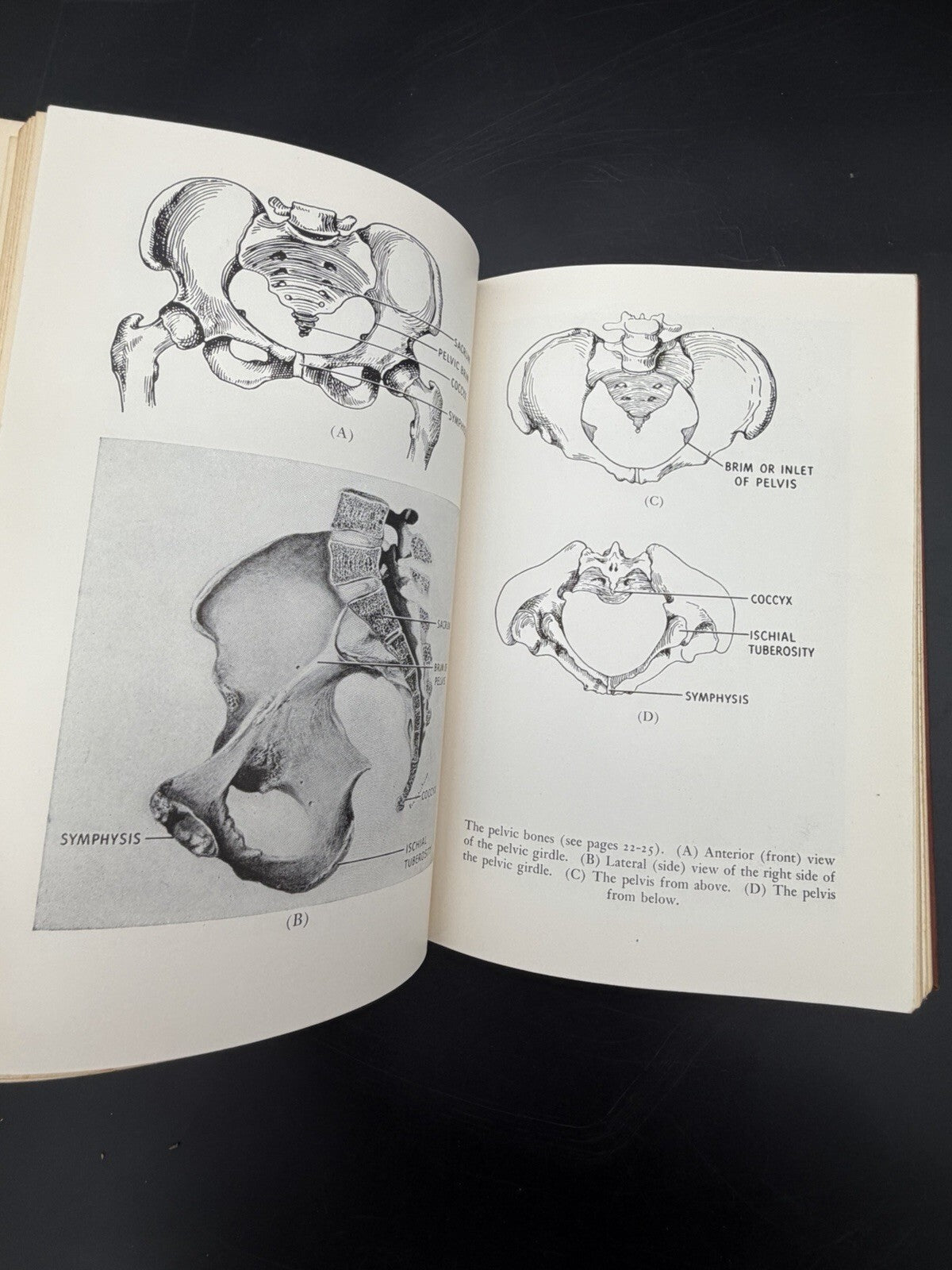 ⁠Vintage Book, 1950 Natural Childbirth FW Goodrich Prentice Hall Vintage Obstetrics Medicine