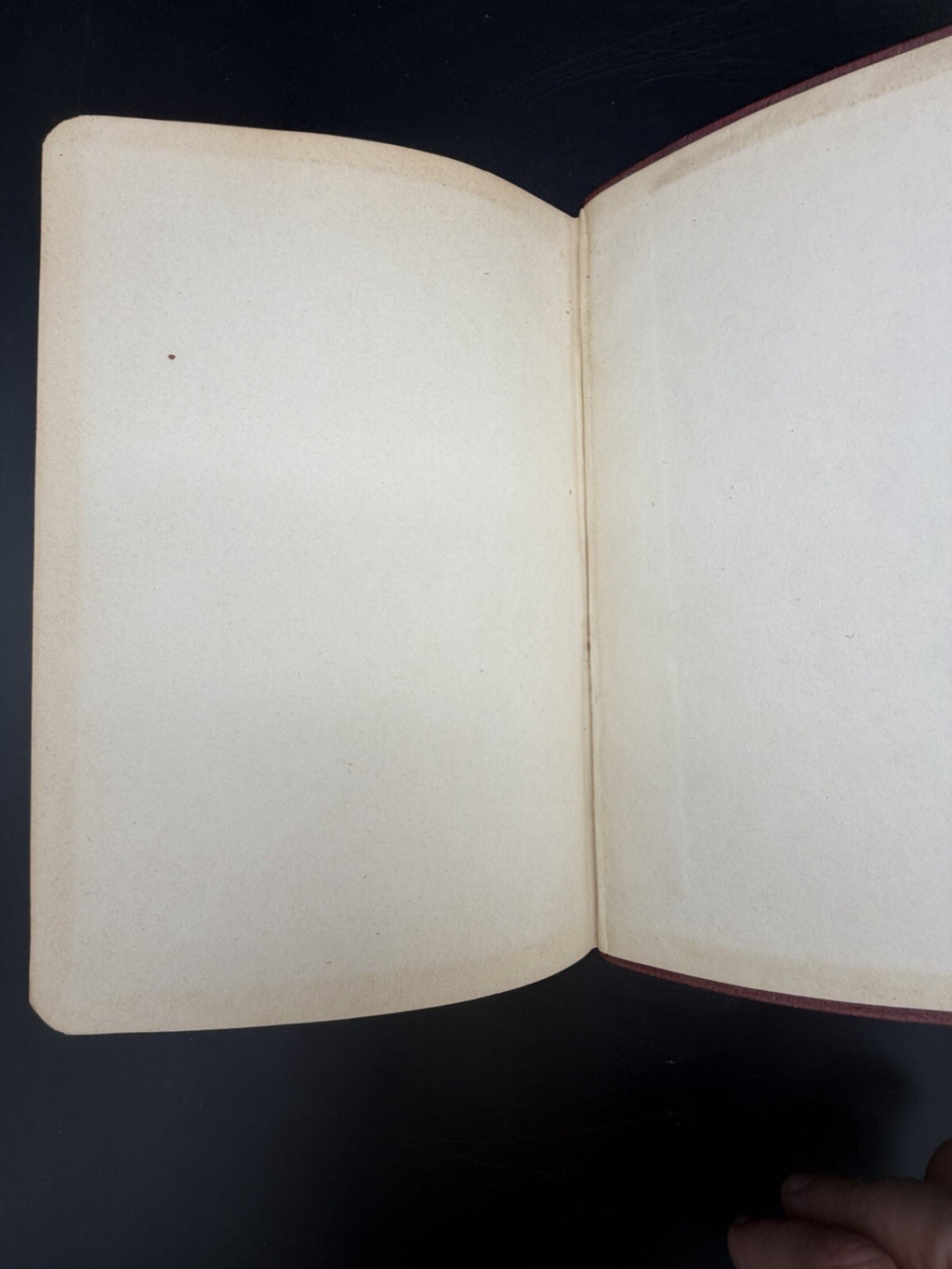 Antique 1935 Glandular Physiology and Therapy Medical Book AMA Endocrinology