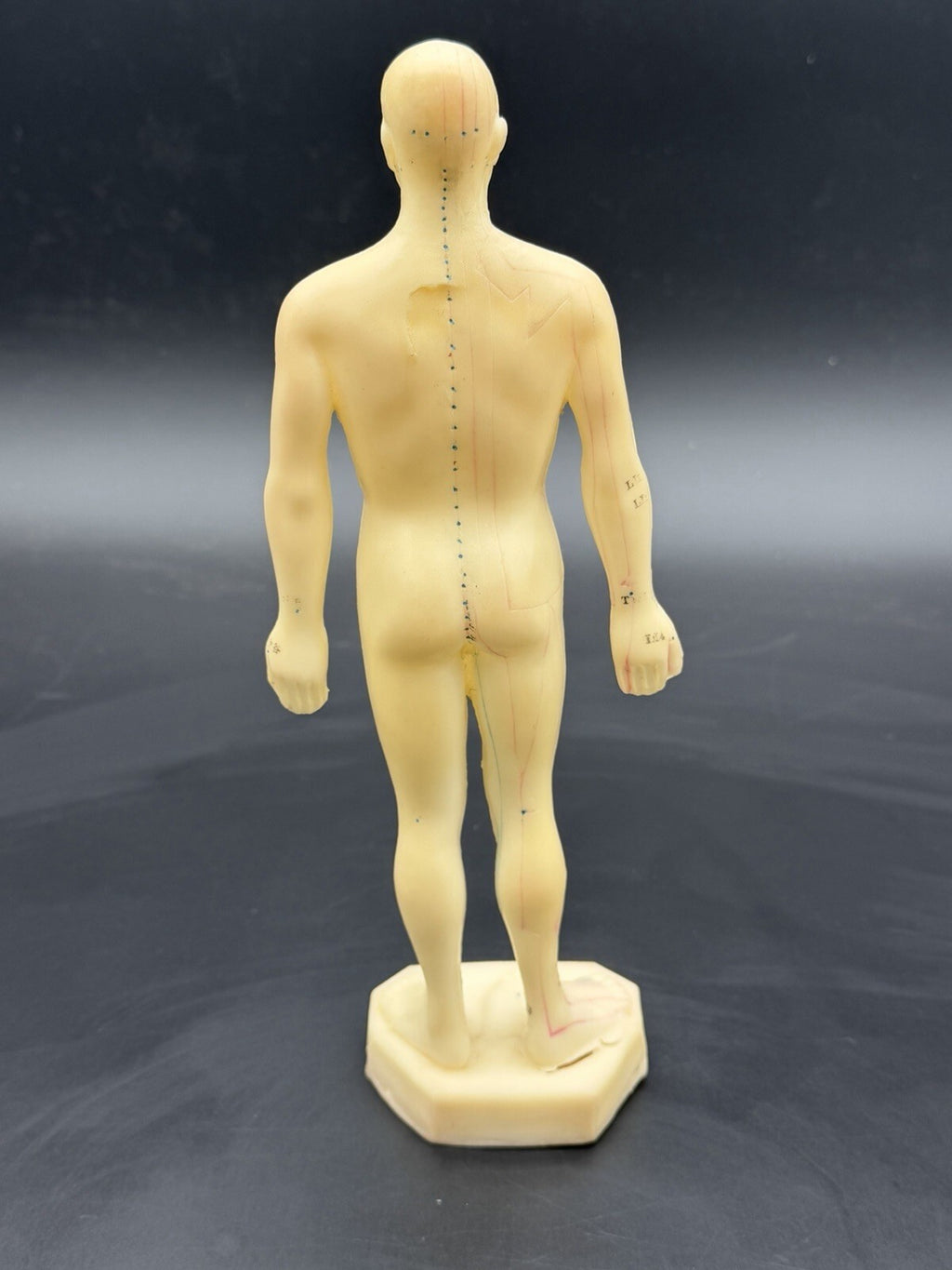 Vintage Tam's Tong Ren Acupuncture Model Human Figure 10 Inch TCM Reference