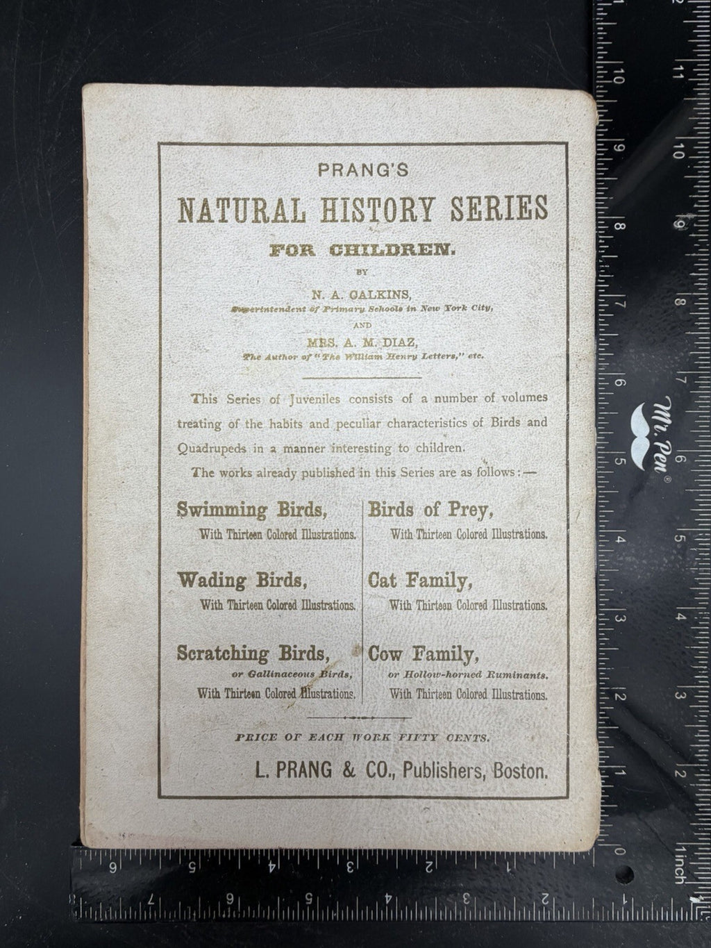 1878 Prangs Natural History Series Children Swimming Birds Antique Book
