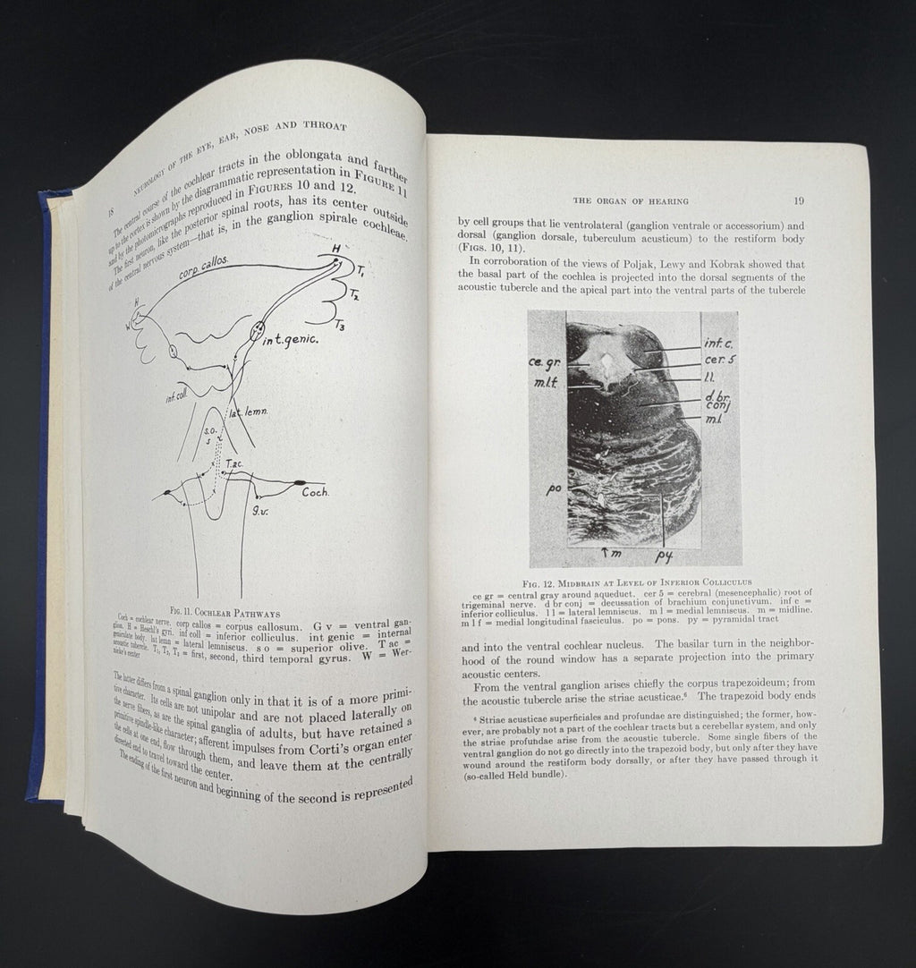 Neurology of the Eye, Ear, Nose, and Throat by E.A. Spiegel & I. Sommer (1944)