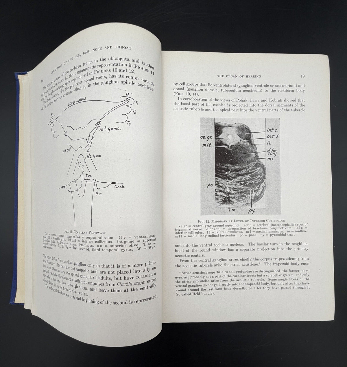 Neurology of the Eye, Ear, Nose, and Throat by E.A. Spiegel & I. Sommer (1944)