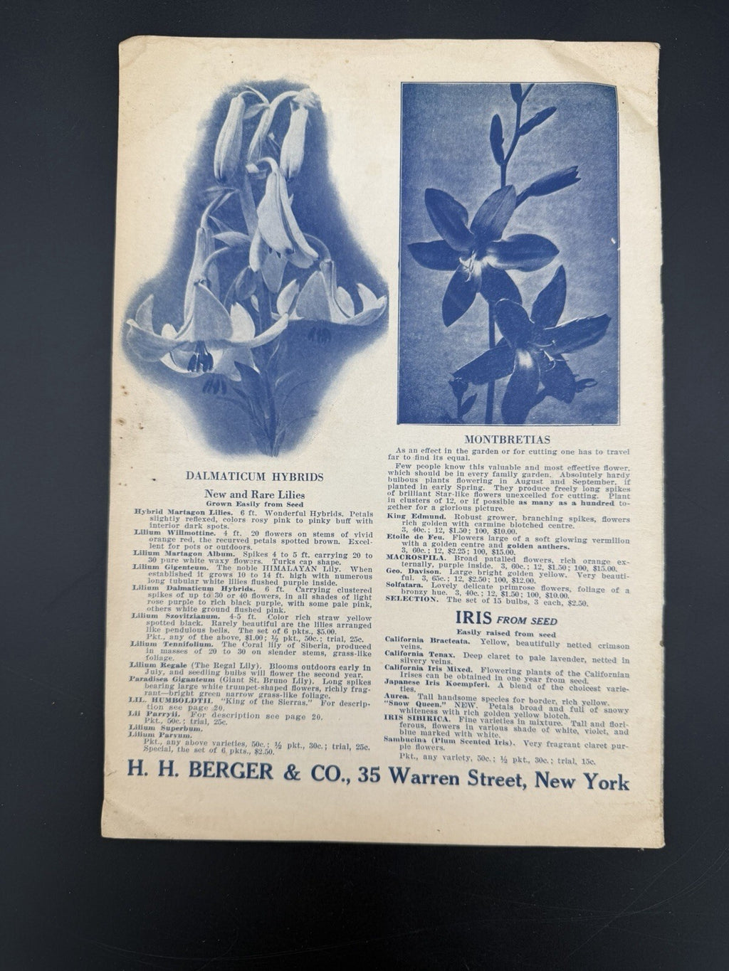 1925 H.H. Berger & Co Spring Garden Seed and Bulb Catalogue New York Rare