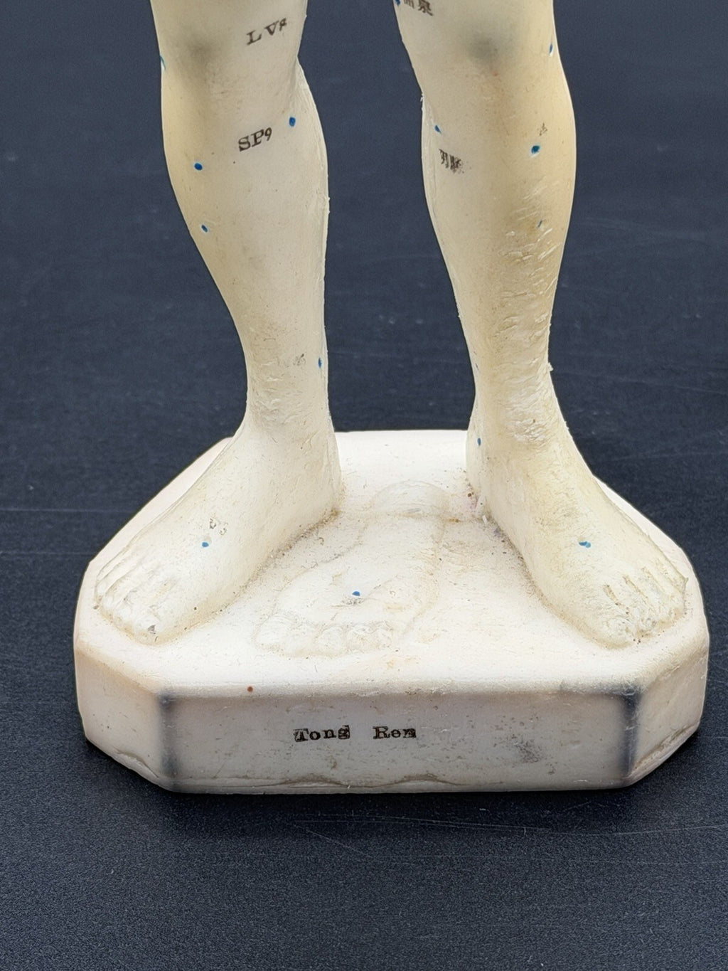 Vintage Tam's Tong Ren Acupuncture Model Human Figure 10 Inch TCM Reference Old