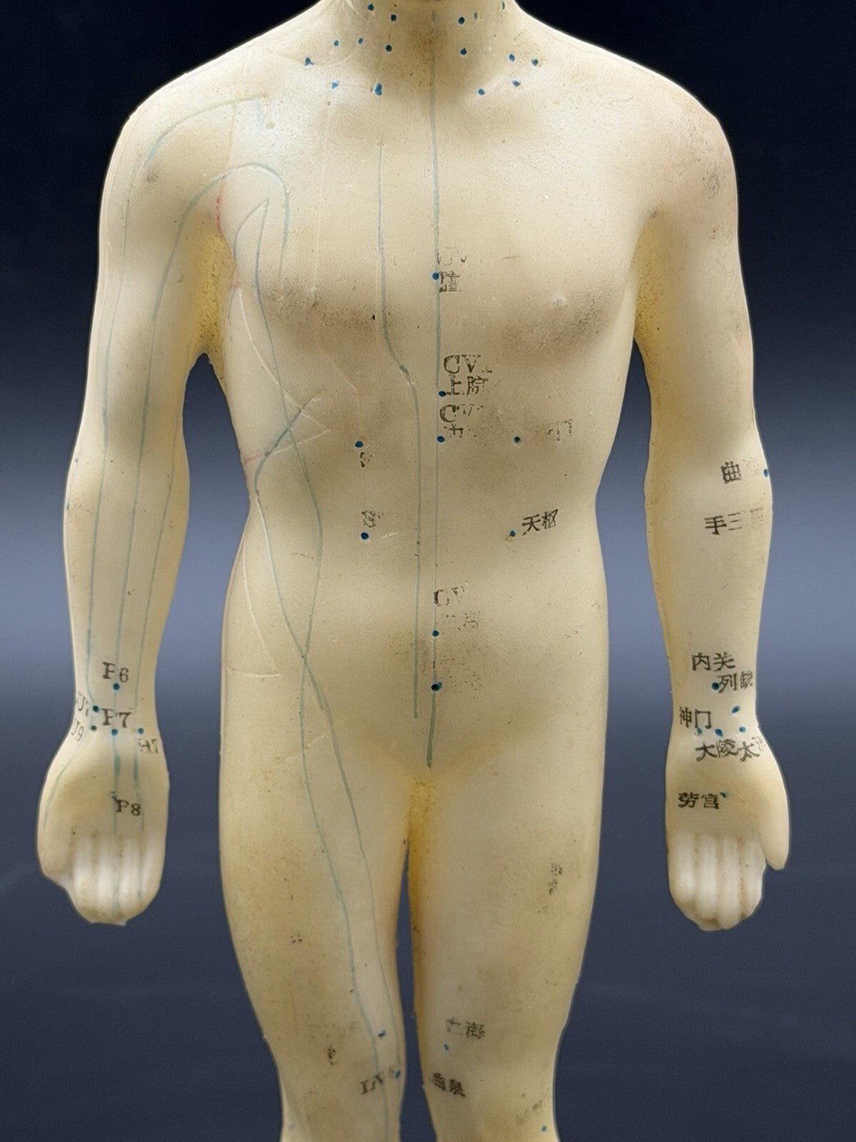 Tam's Tong Ren Acupuncture Model Human Figure 10 Inch TCM Reference Medical