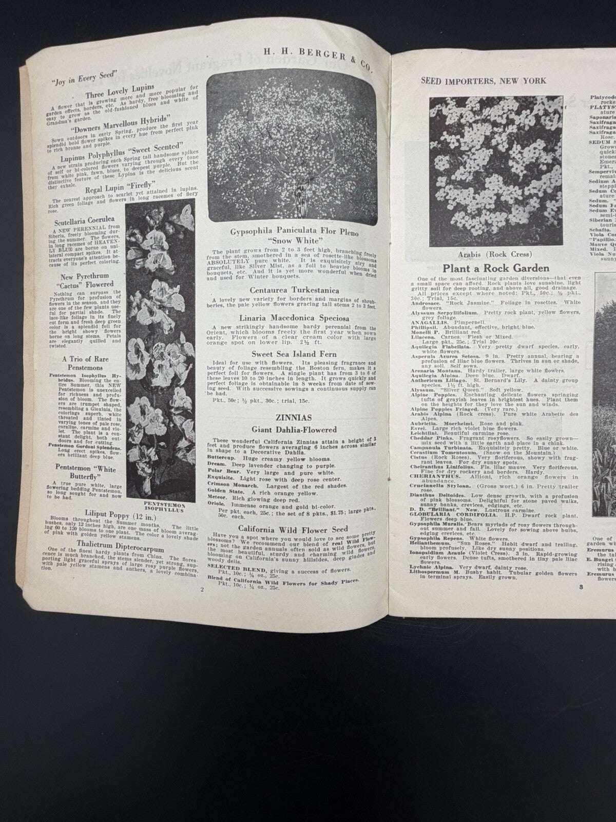 1925 H.H. Berger & Co Spring Garden Seed and Bulb Catalogue New York Rare