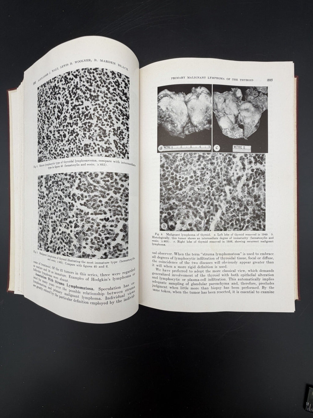 Collected Papers of the Mayo Clinic & The Mayo Foundation Volume XLIX (49) 1957