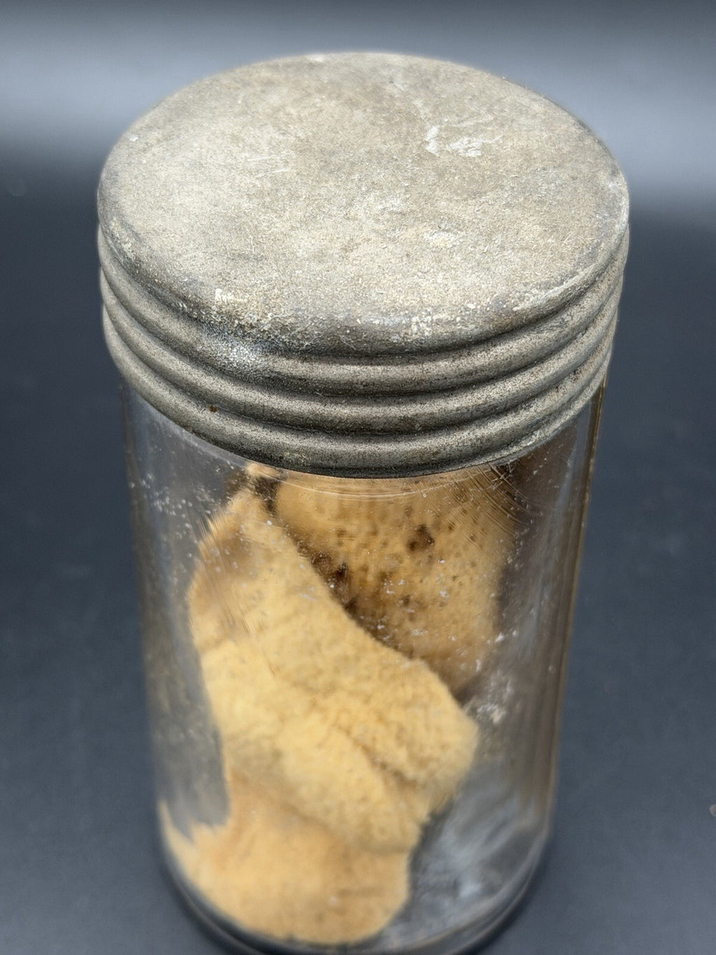 Antique Antiseptic Zimocca Sponges Surgical Medical Jar Display Oddity RARE