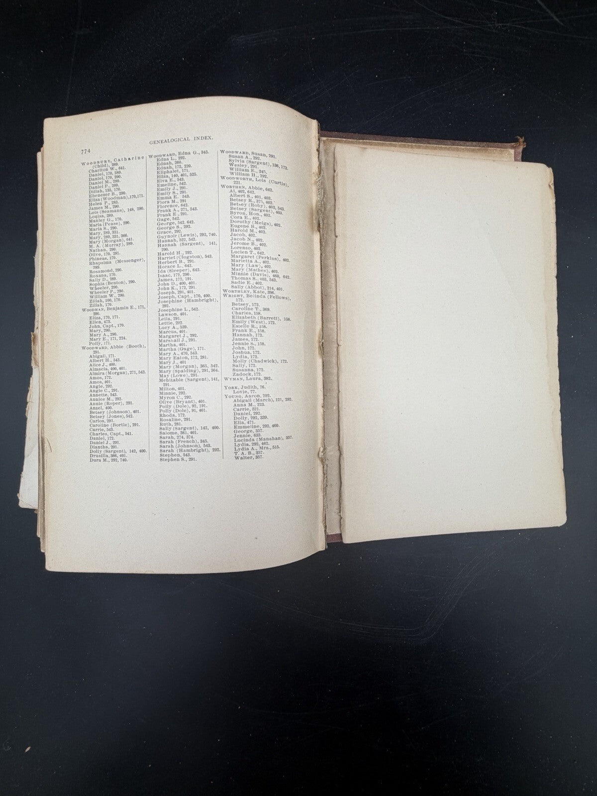 Antique Book, A History of the Town of New London NH 1779-1899 Local History Genealogy