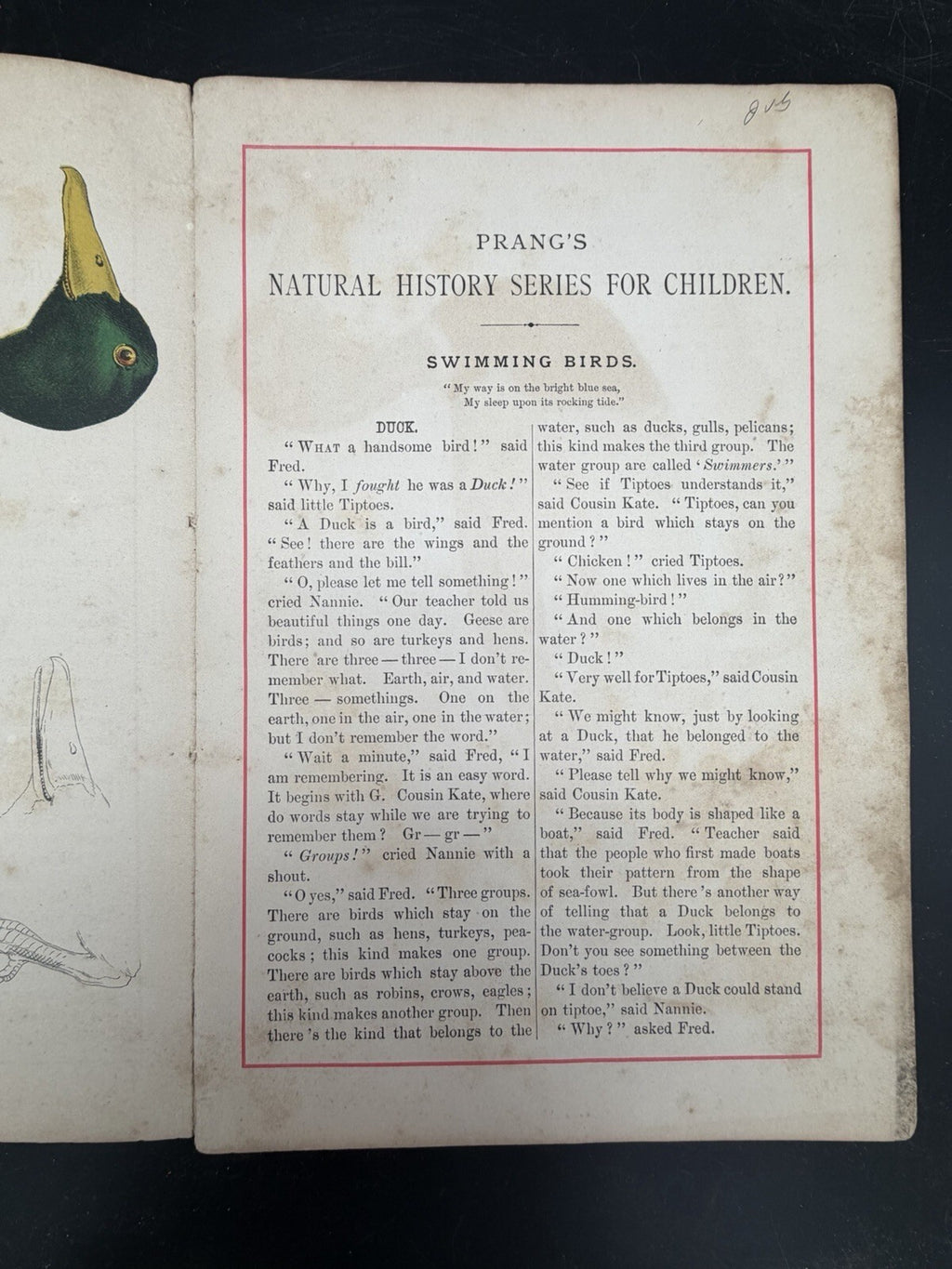 1878 Prangs Natural History Series Children Swimming Birds Antique Book