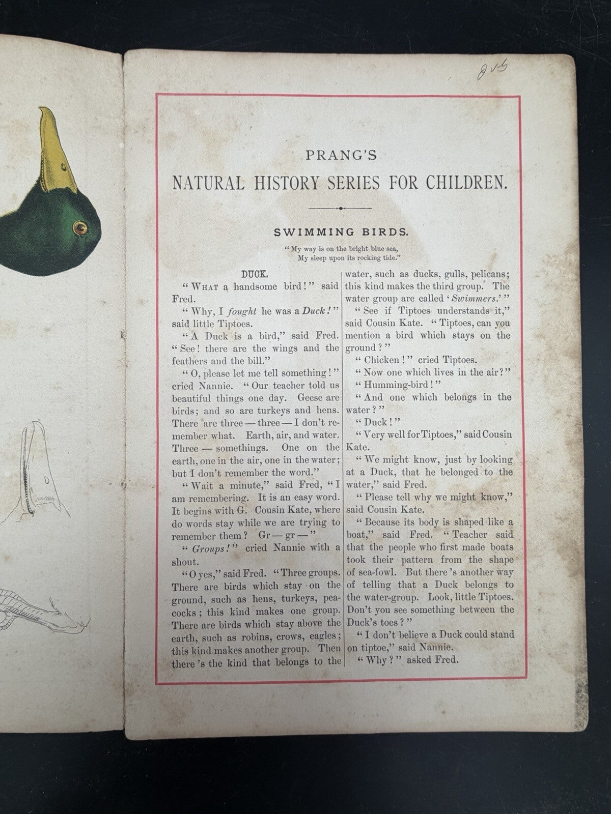 1878 Prangs Natural History Series Children Swimming Birds Antique Book