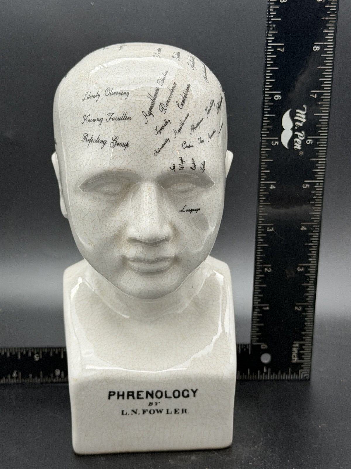 Vintage Antique Phrenology Head Bust Ceramic Medical Oddity Psychology Science