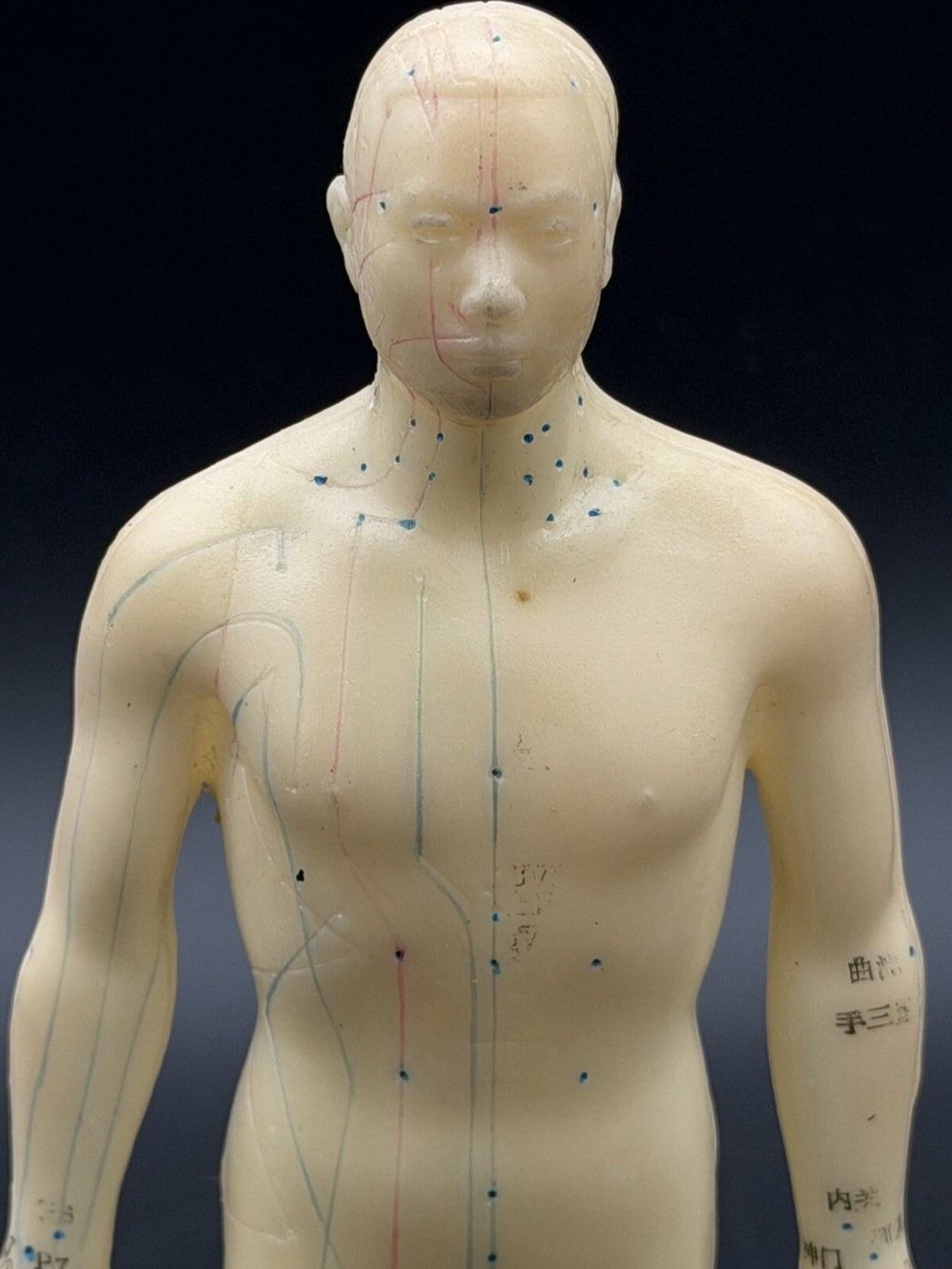 Vintage Tam's Tong Ren Acupuncture Model Human Figure 10 Inch TCM Reference