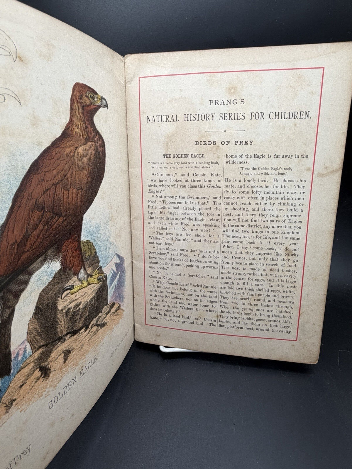 1878 Prang's Natural History Series Children Birds Of Prey Antique Color Book⁠