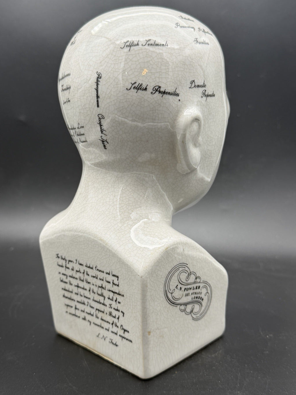 Vintage Antique Phrenology Head Bust Ceramic Medical Oddity Psychology Science