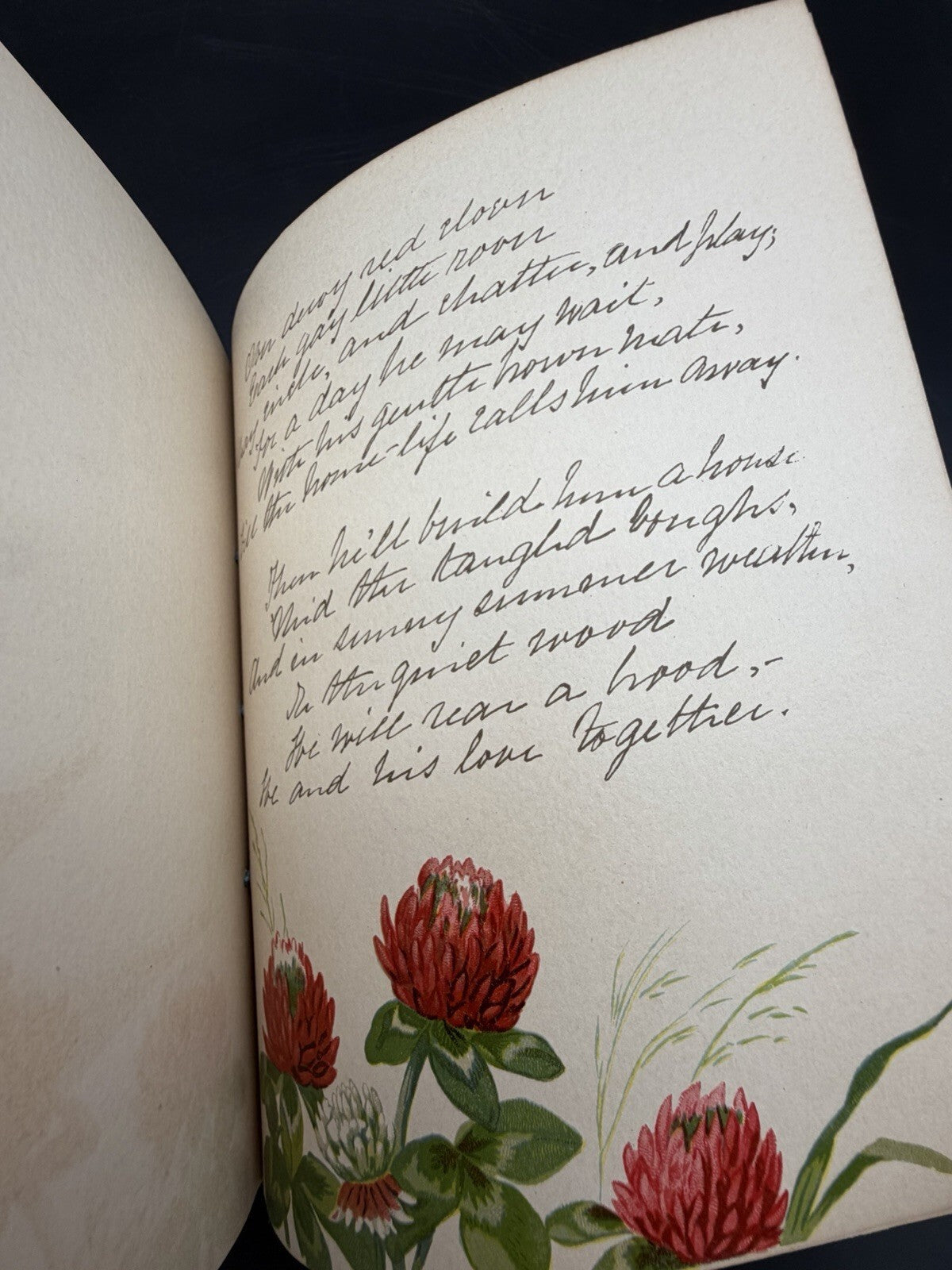 The Coming of the Birds Elaine Goodale Facsimile Sig Alexander Pope Antique Book