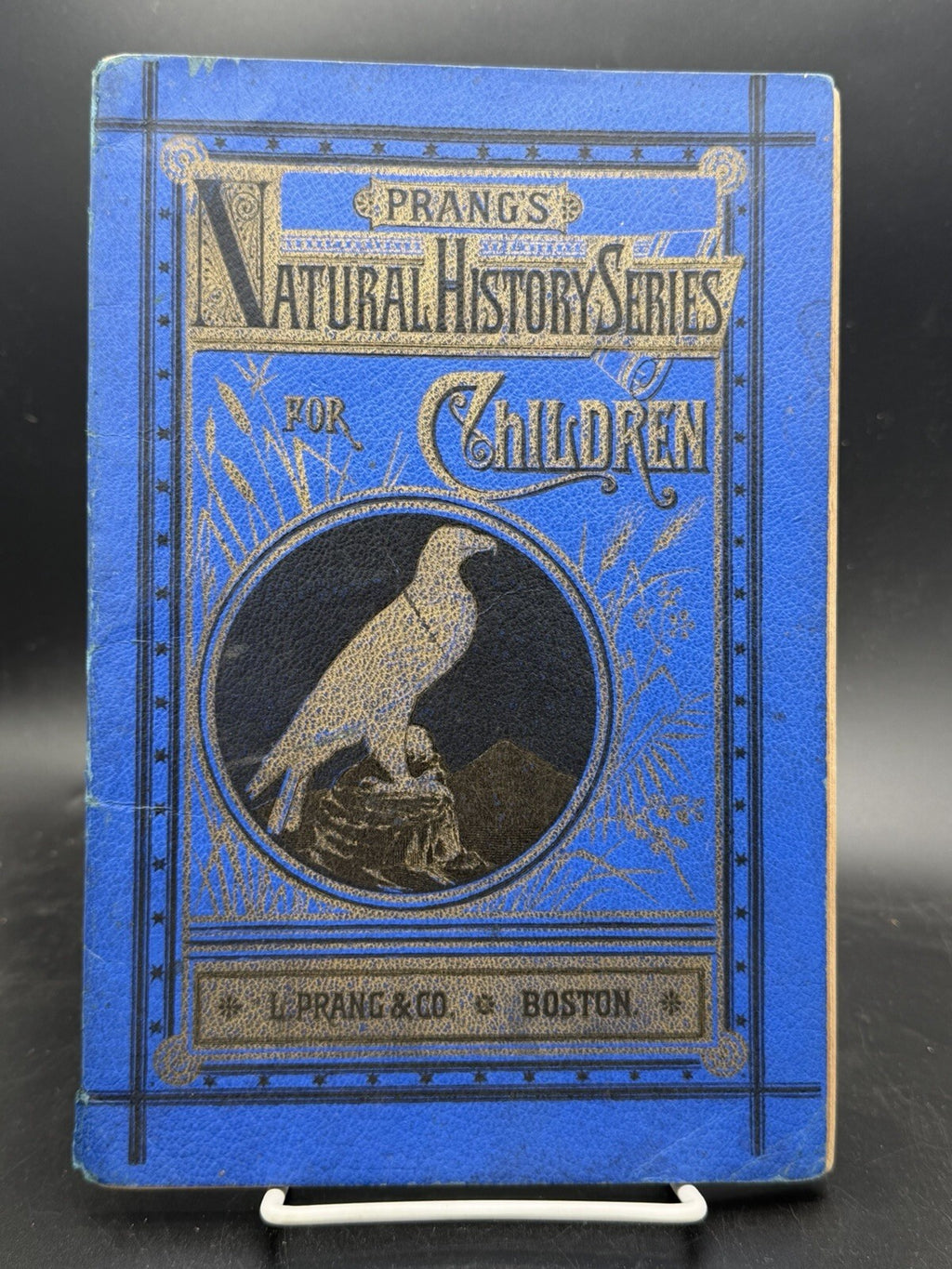 1878 Prang's Natural History Series Children Birds Of Prey Antique Color Book⁠