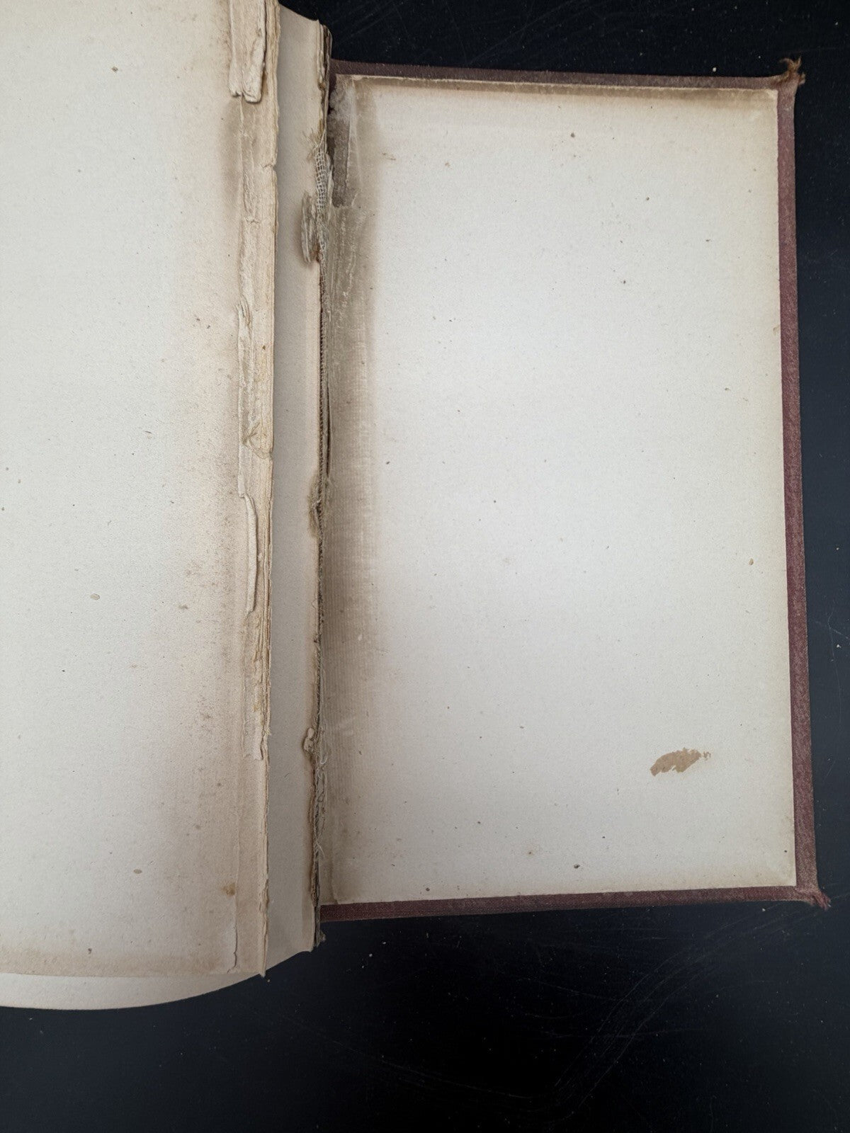 Antique Book, A History of the Town of New London NH 1779-1899 Local History Genealogy