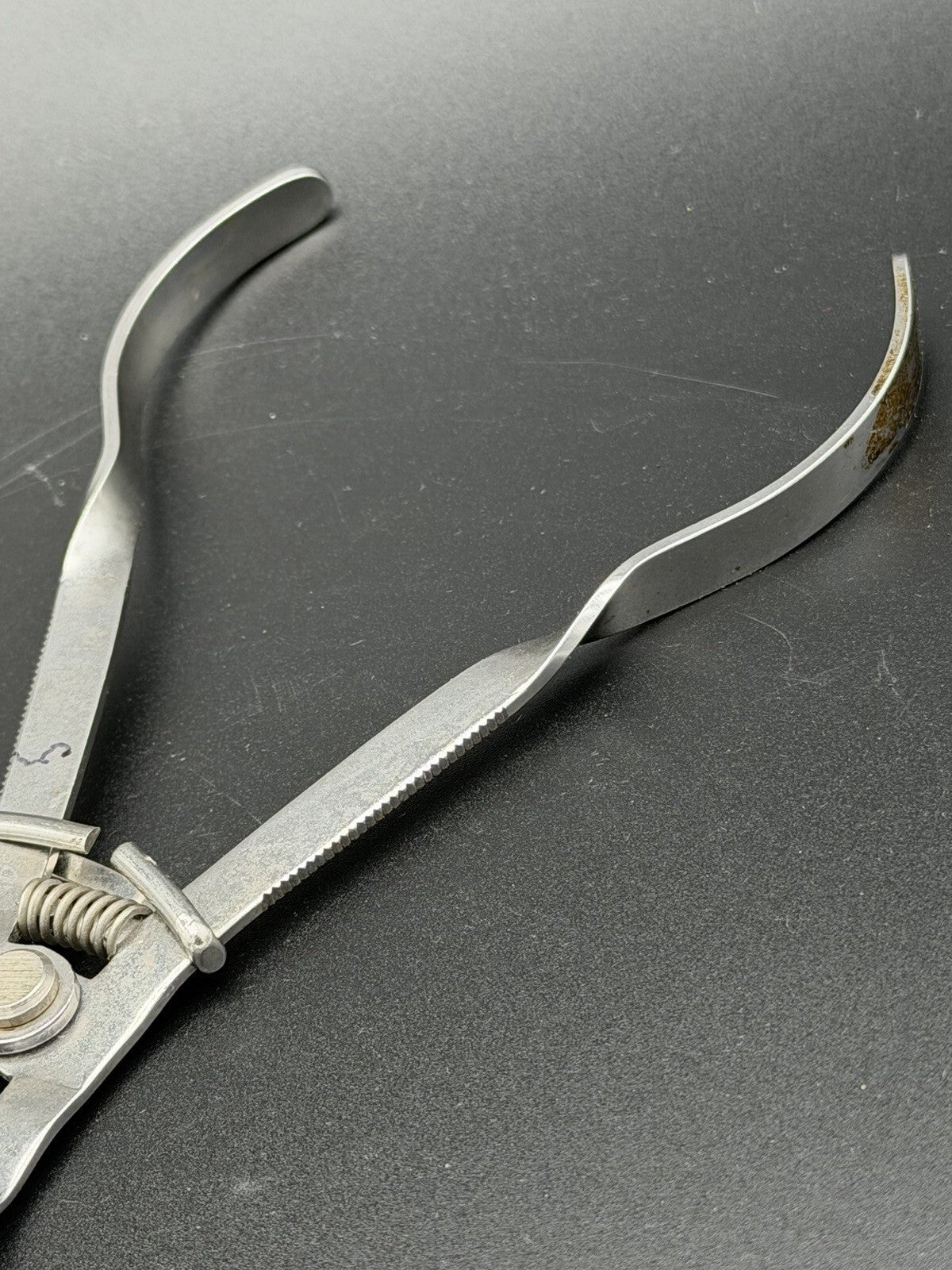Vintage Ivory Dental Rubber Dam Clamp Forceps Antique Dental Instrument
