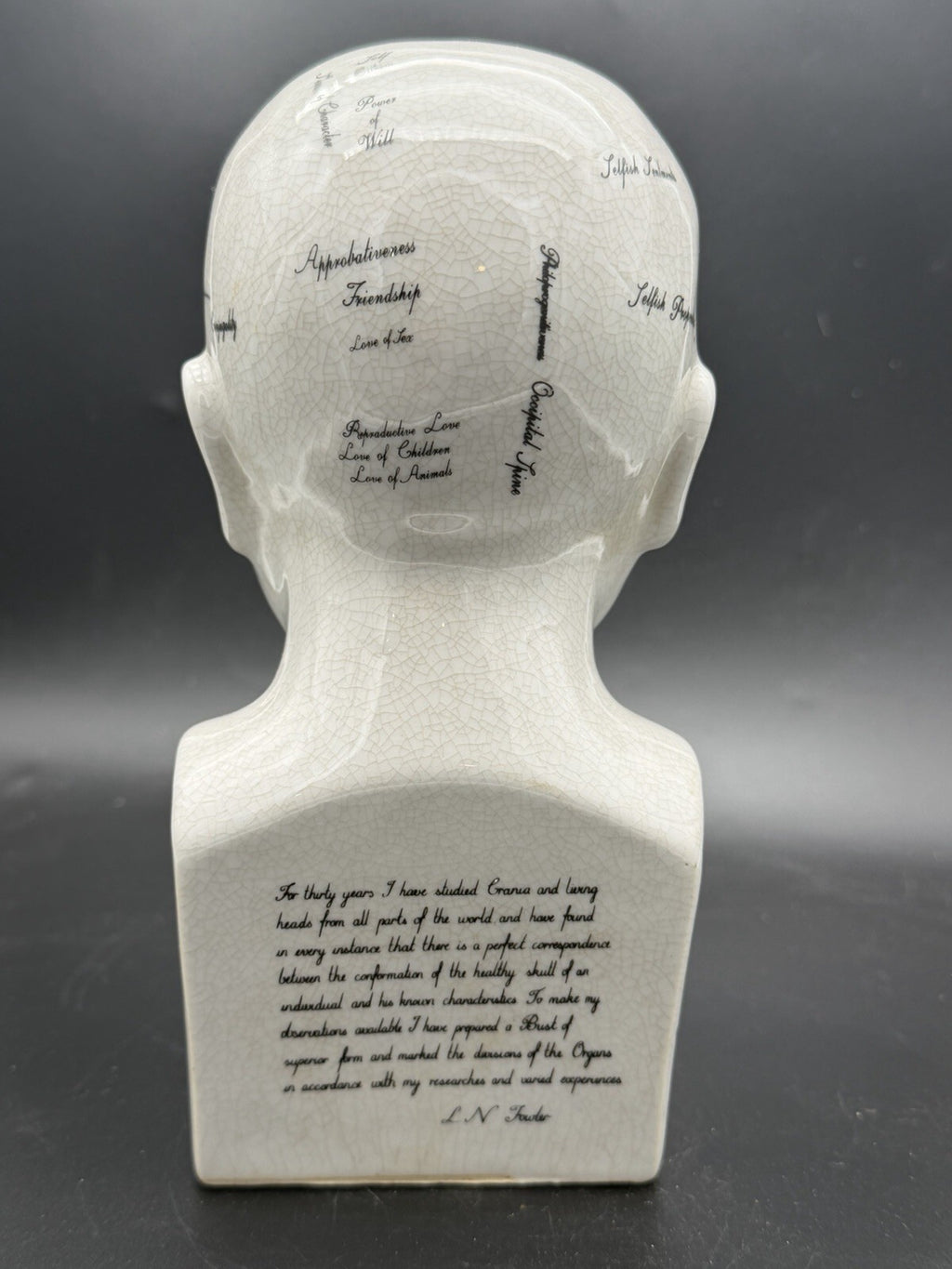 Vintage Antique Phrenology Head Bust Ceramic Medical Oddity Psychology Science