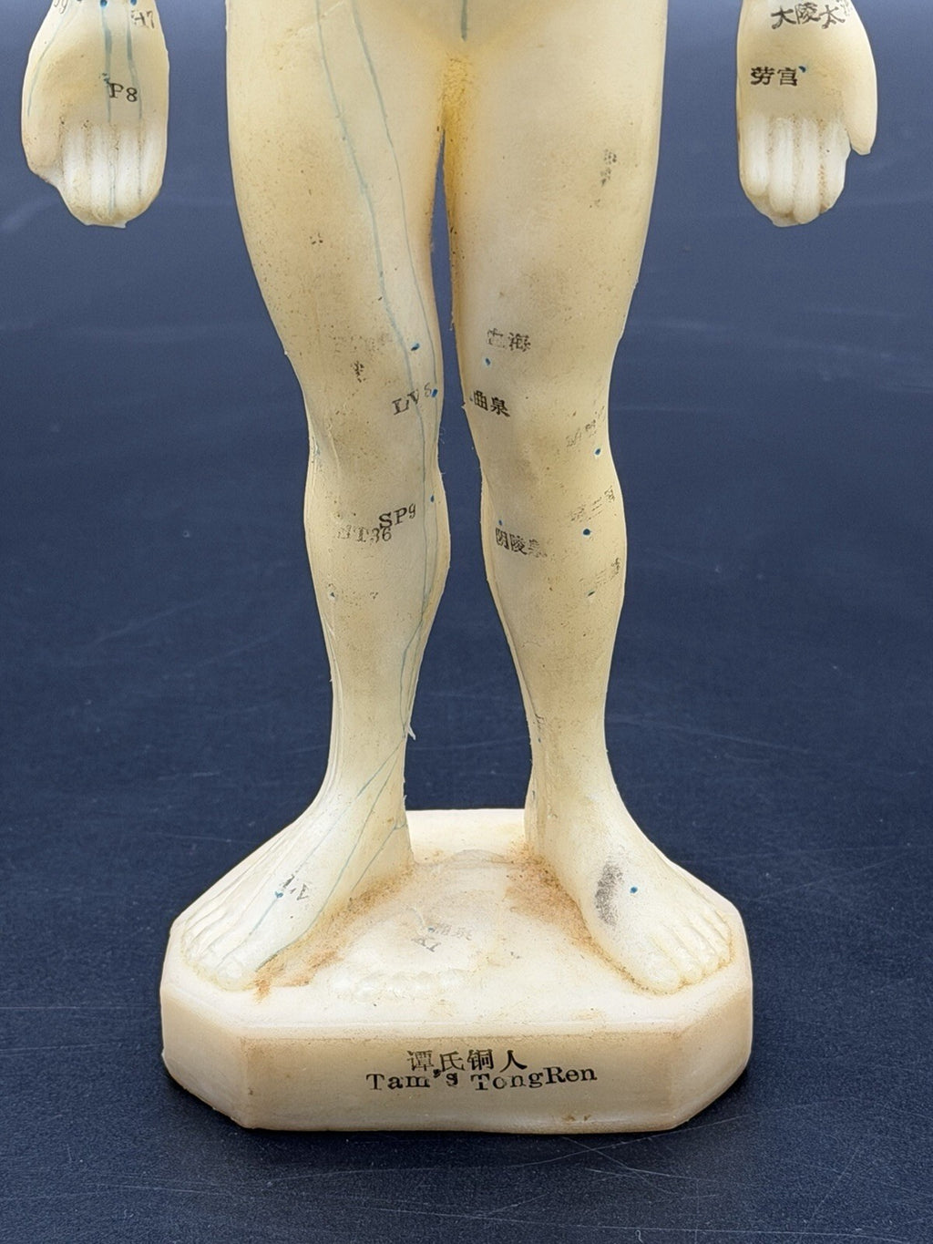 Tam's Tong Ren Acupuncture Model Human Figure 10 Inch TCM Reference Medical