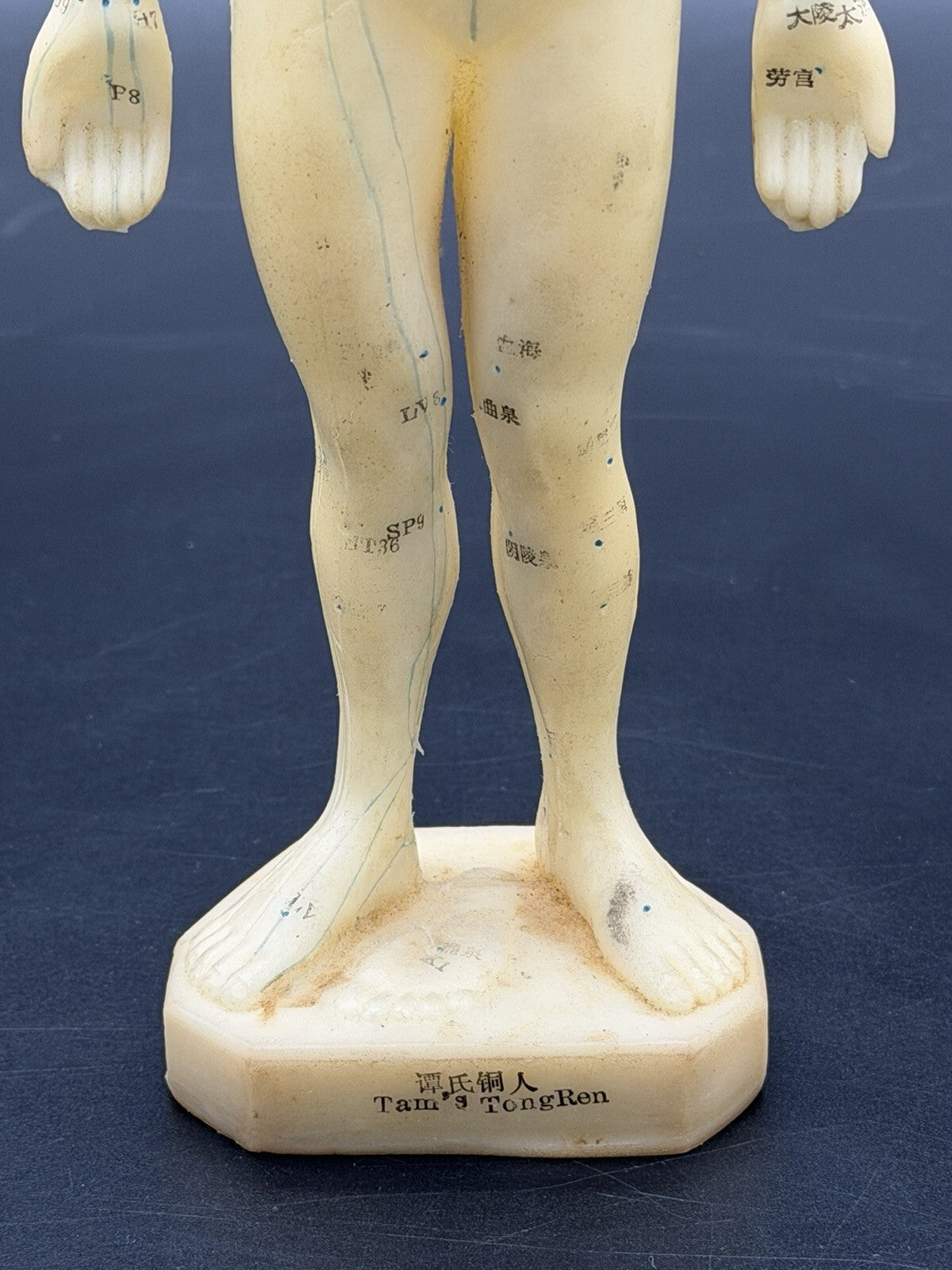 Tam's Tong Ren Acupuncture Model Human Figure 10 Inch TCM Reference Medical