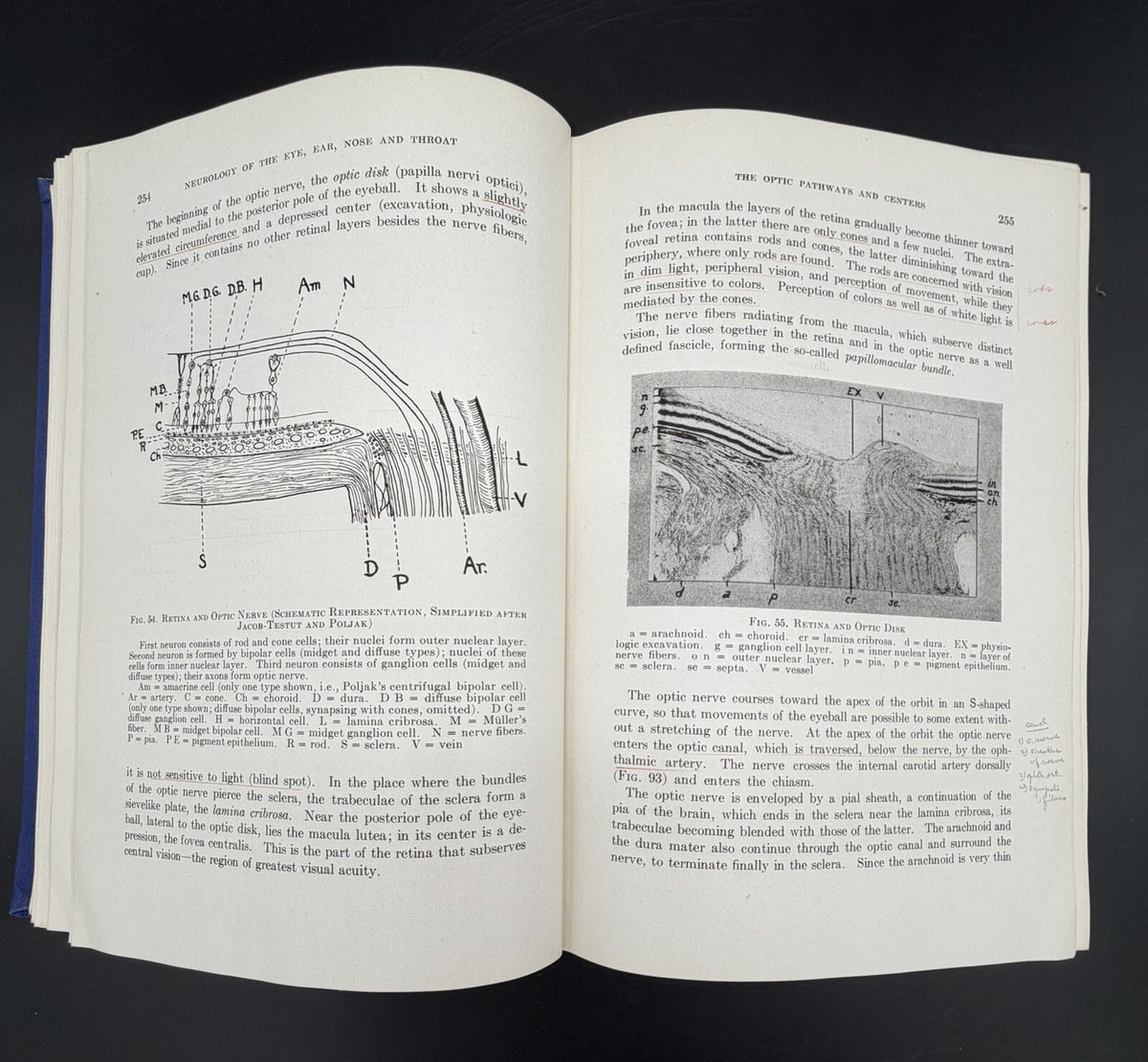 Neurology of the Eye, Ear, Nose, and Throat by E.A. Spiegel & I. Sommer (1944)