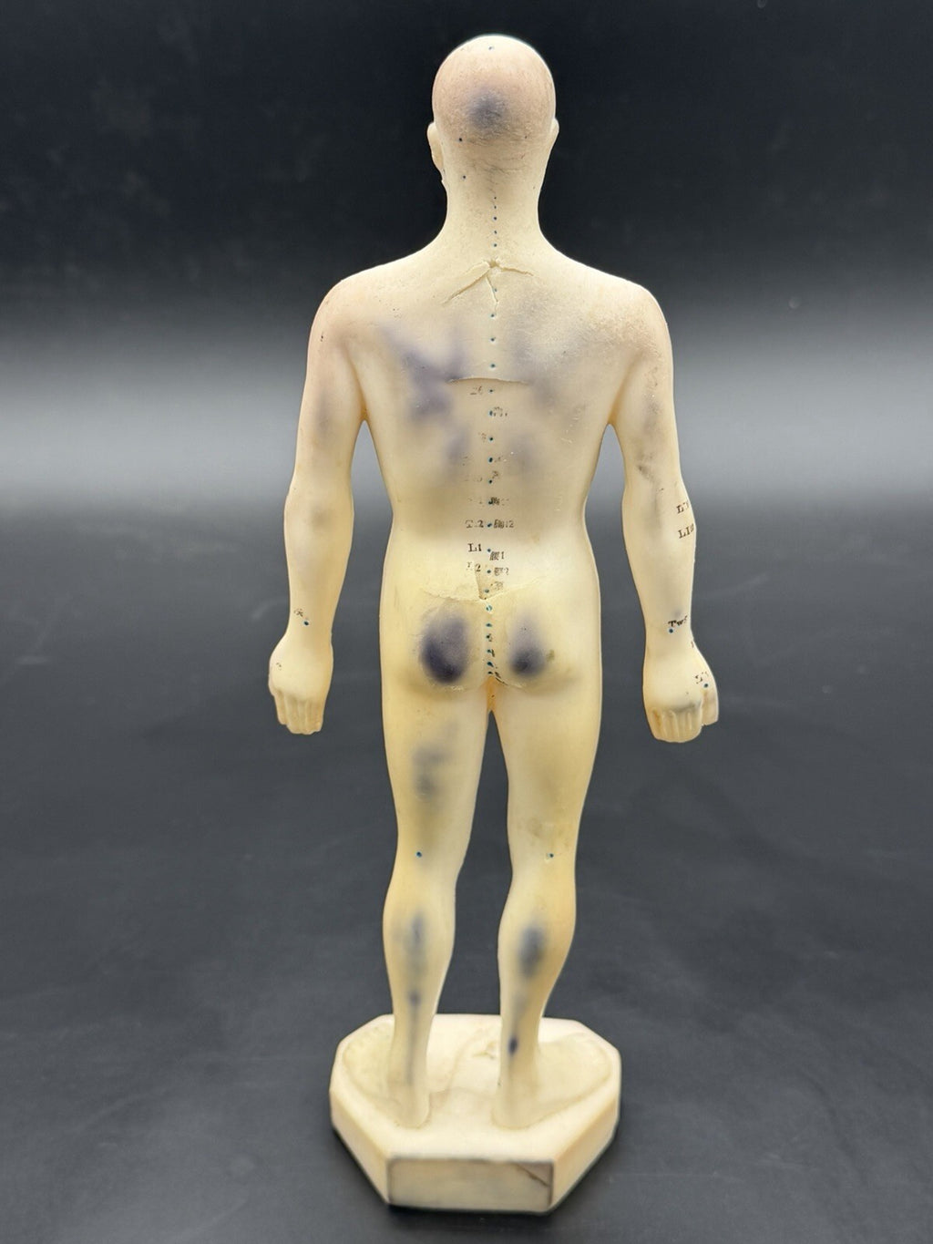 Vintage Tam's Tong Ren Acupuncture Model Human Figure 10 Inch TCM Reference Old