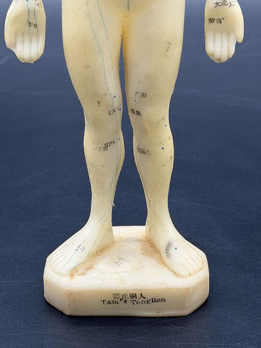Tam's Tong Ren Acupuncture Model Human Figure 10 Inch TCM Reference Medical
