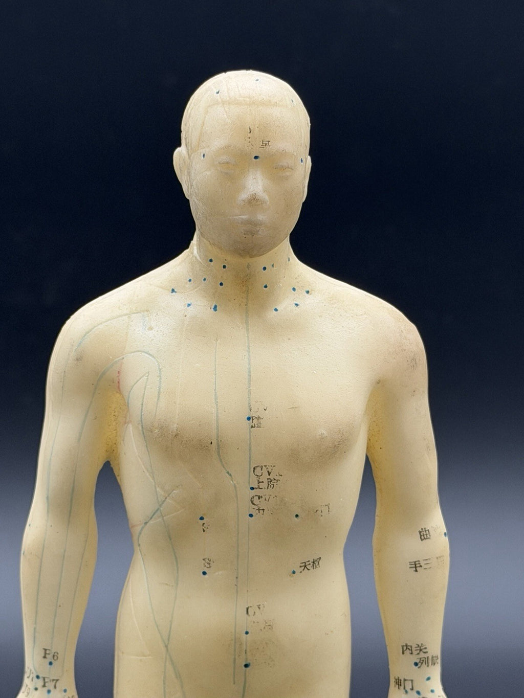 Tam's Tong Ren Acupuncture Model Human Figure 10 Inch TCM Reference Medical