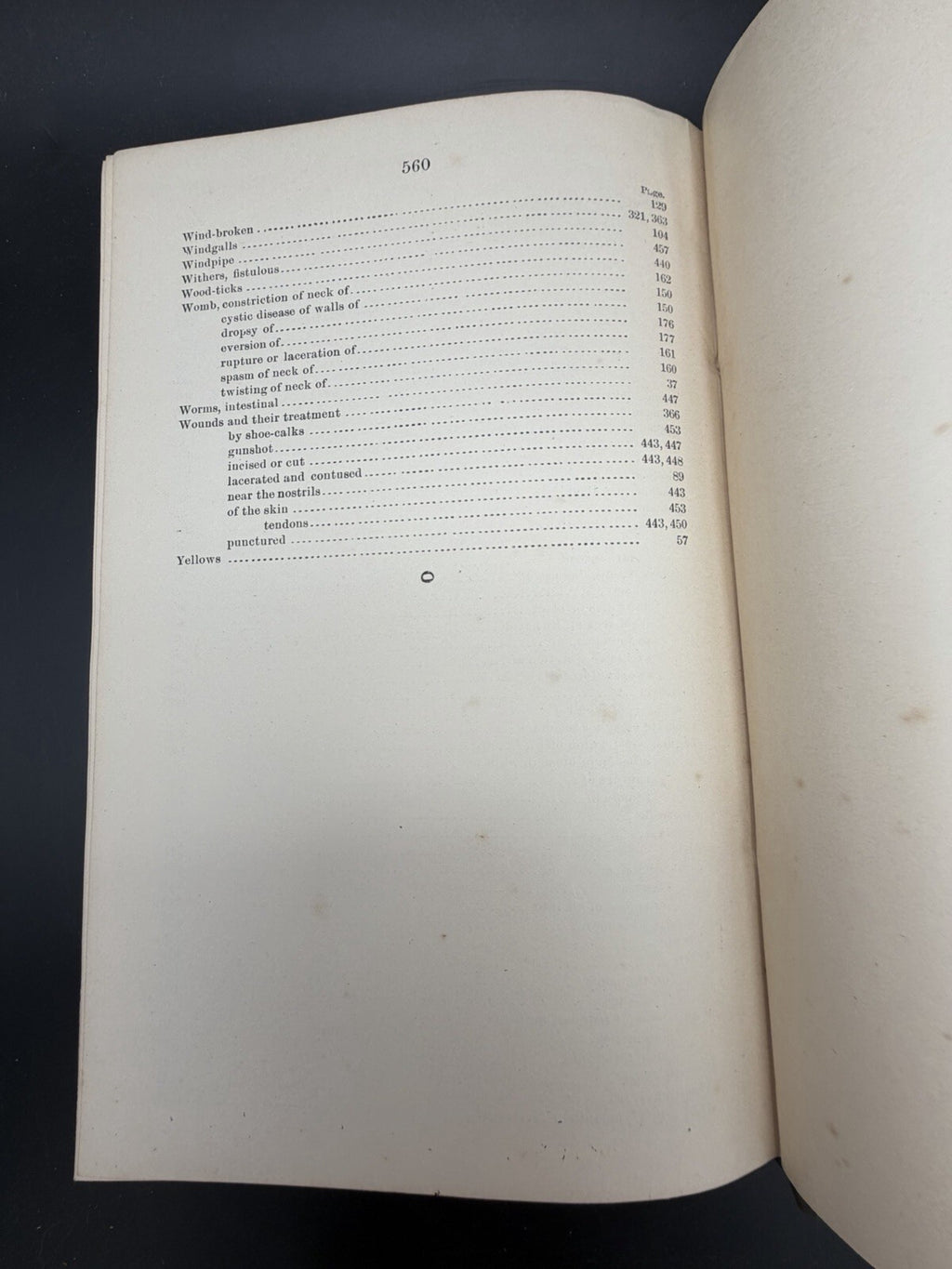 US Department of Agriculture Diseases of The Horse 1890 illustrated