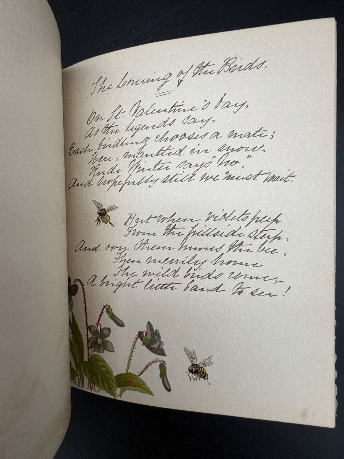 The Coming of the Birds Elaine Goodale Facsimile Sig Alexander Pope Antique Book