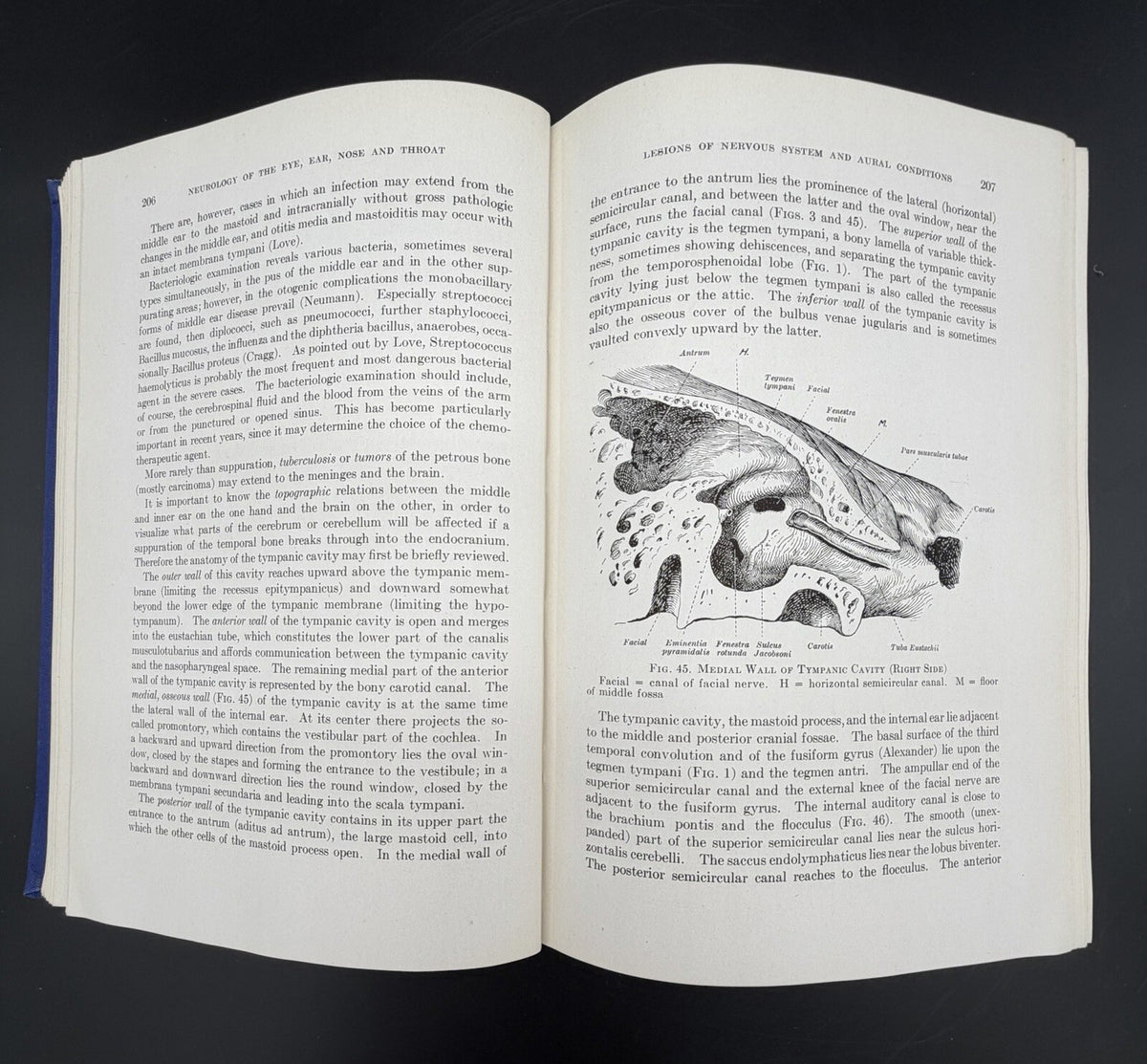 Neurology of the Eye, Ear, Nose, and Throat by E.A. Spiegel & I. Sommer (1944)
