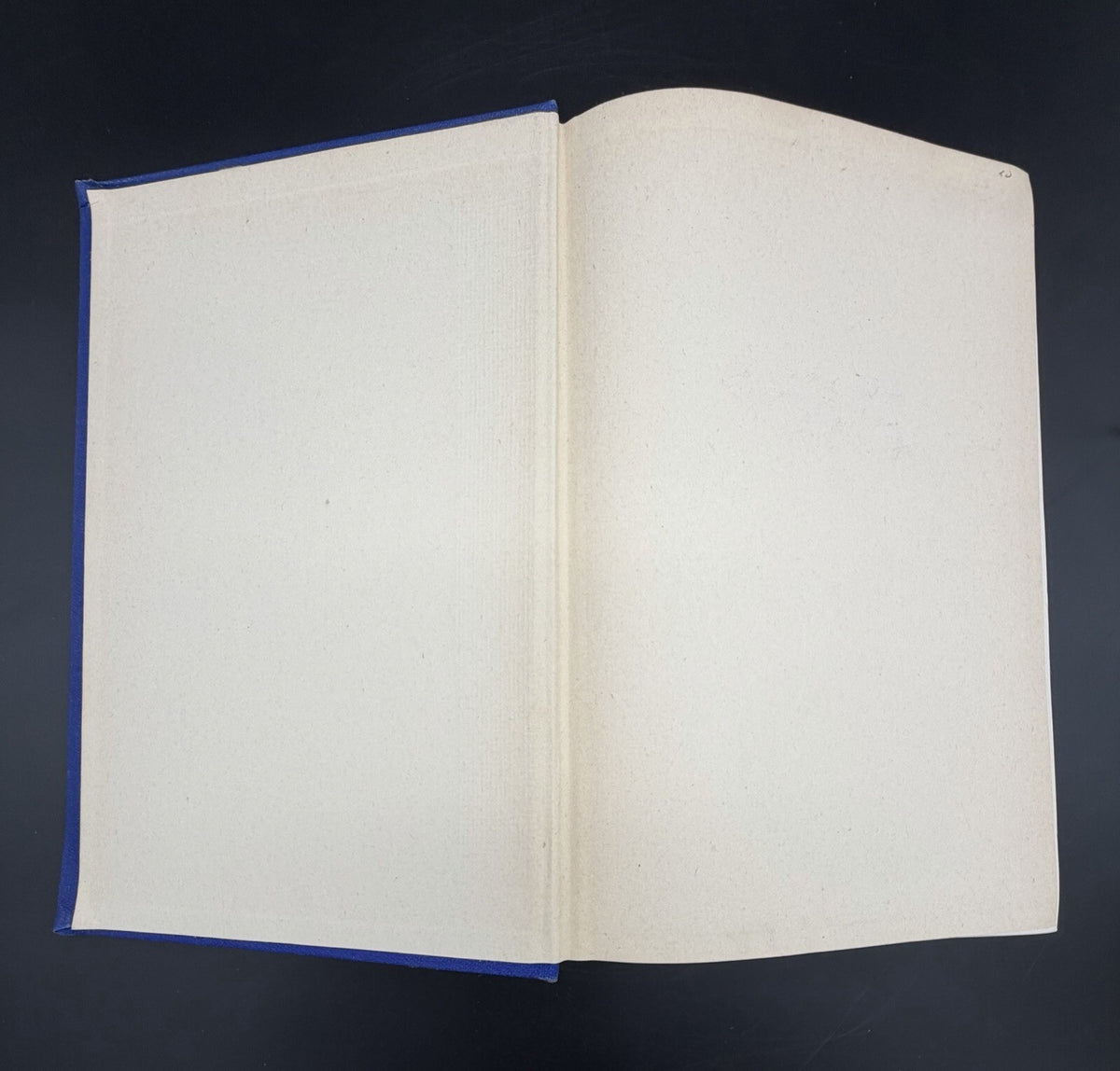Neurology of the Eye, Ear, Nose, and Throat by E.A. Spiegel & I. Sommer (1944)