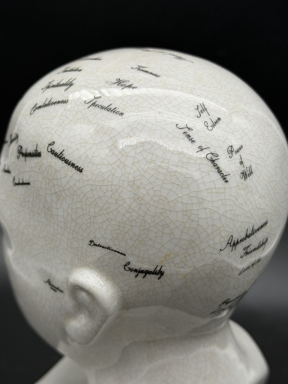 Vintage Antique Phrenology Head Bust Ceramic Medical Oddity Psychology Science
