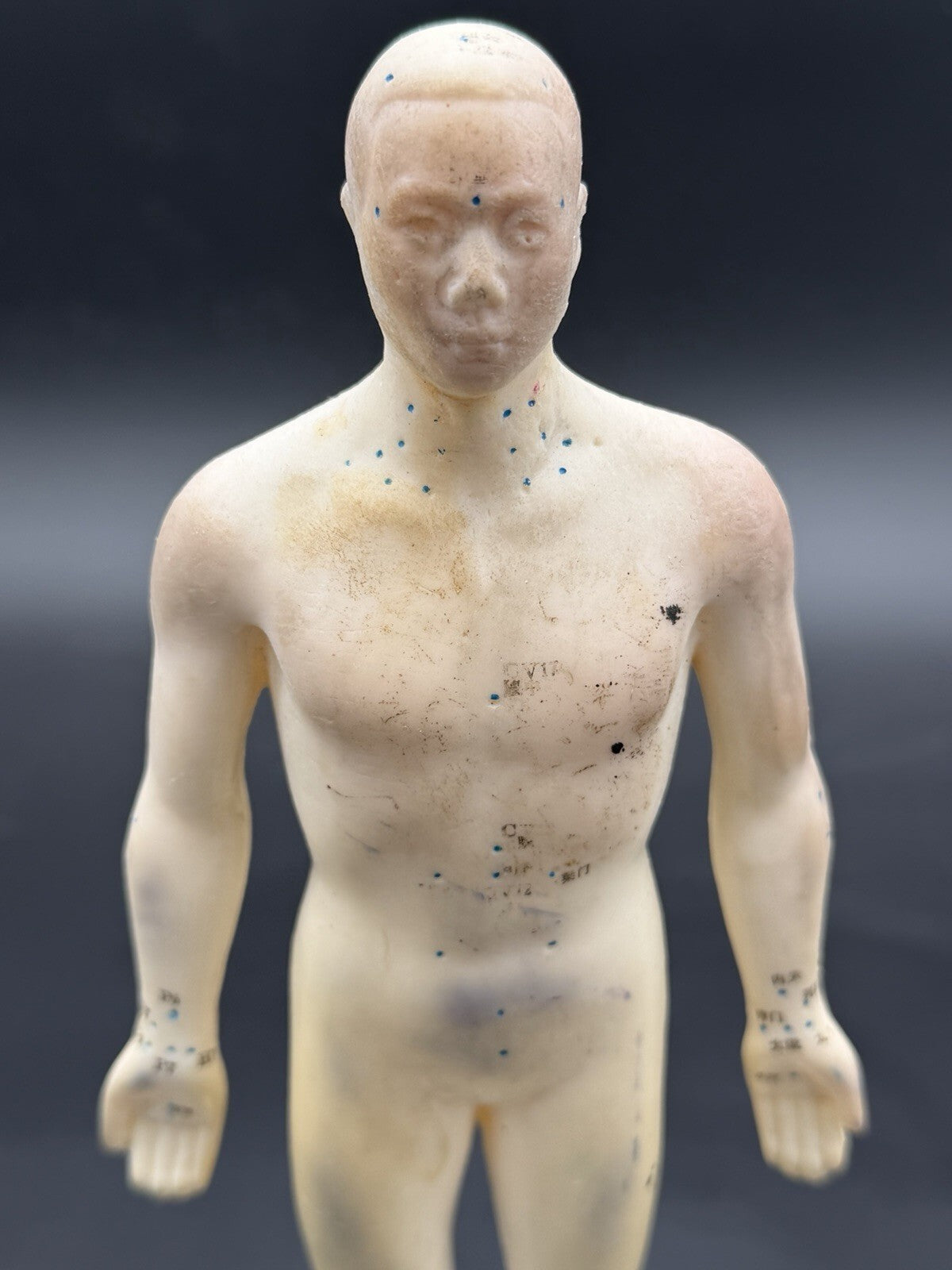 Vintage Tam's Tong Ren Acupuncture Model Human Figure 10 Inch TCM Reference Old