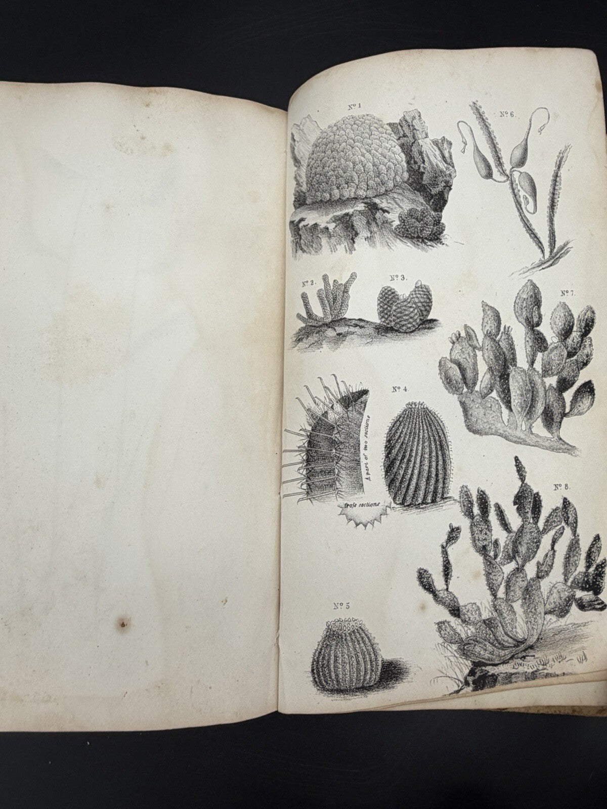 1848 Notes of a Military Reconnoissance to San Diego W. H. Emory US West History