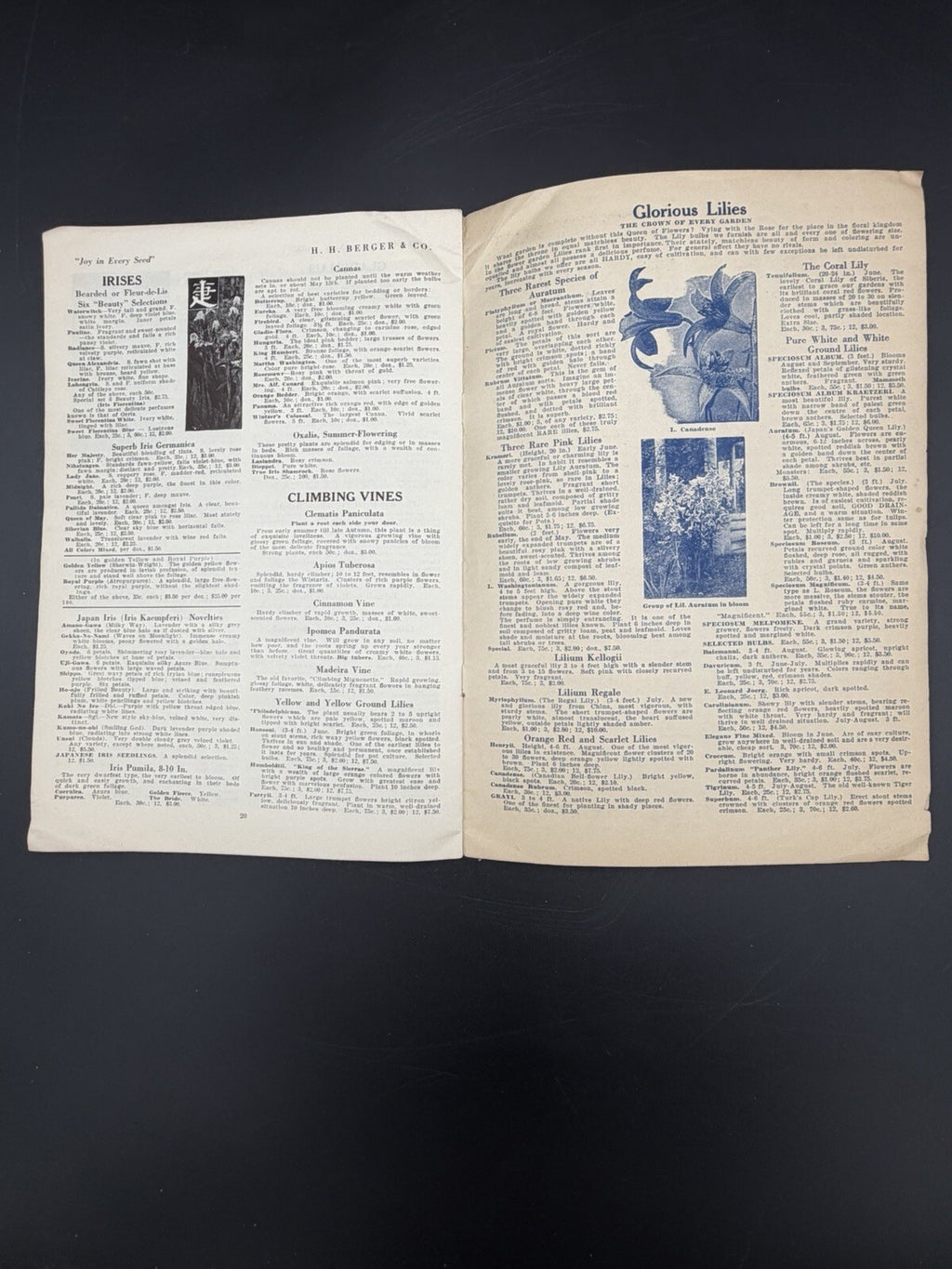 1925 H.H. Berger & Co Spring Garden Seed and Bulb Catalogue New York Rare