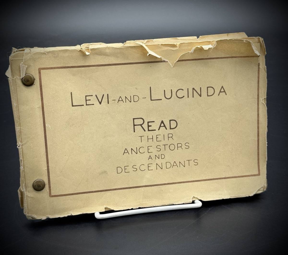 1932 Levi and Lucinda Read Ancestors and Descendants Family Genealogy Book