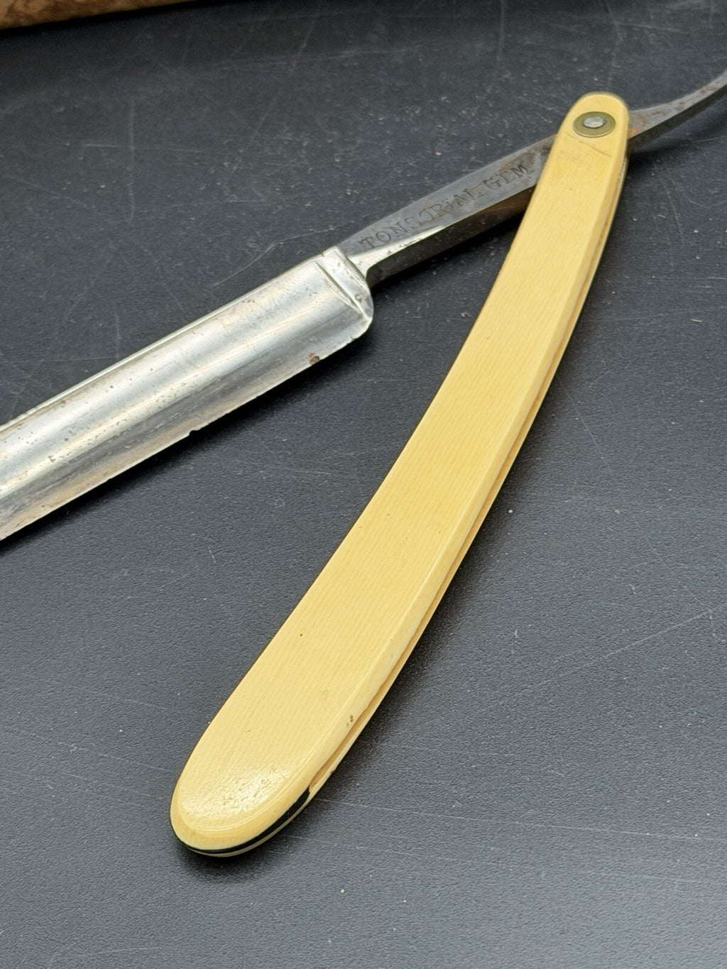 Antique F.A. Clauberg Tonsorial Gem Straight Razor Celluloid Handle Germany