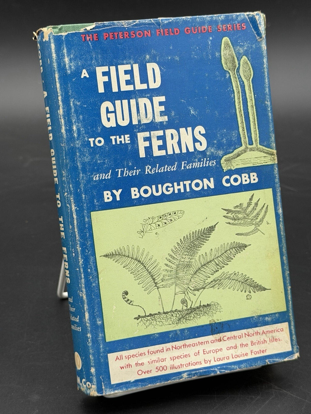 A Field Guide to the Ferns Boughton Cobb Peterson Field Guide Series