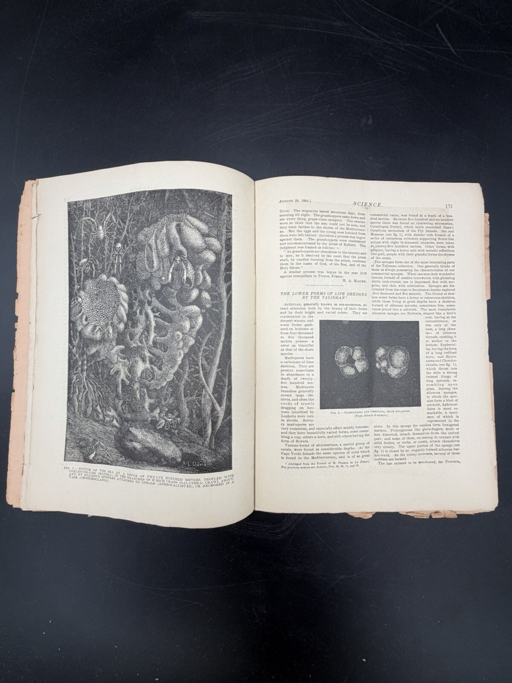 1884 Original Vintage Science Magazine - Vol. IV No. 82 - Historical Ephemera